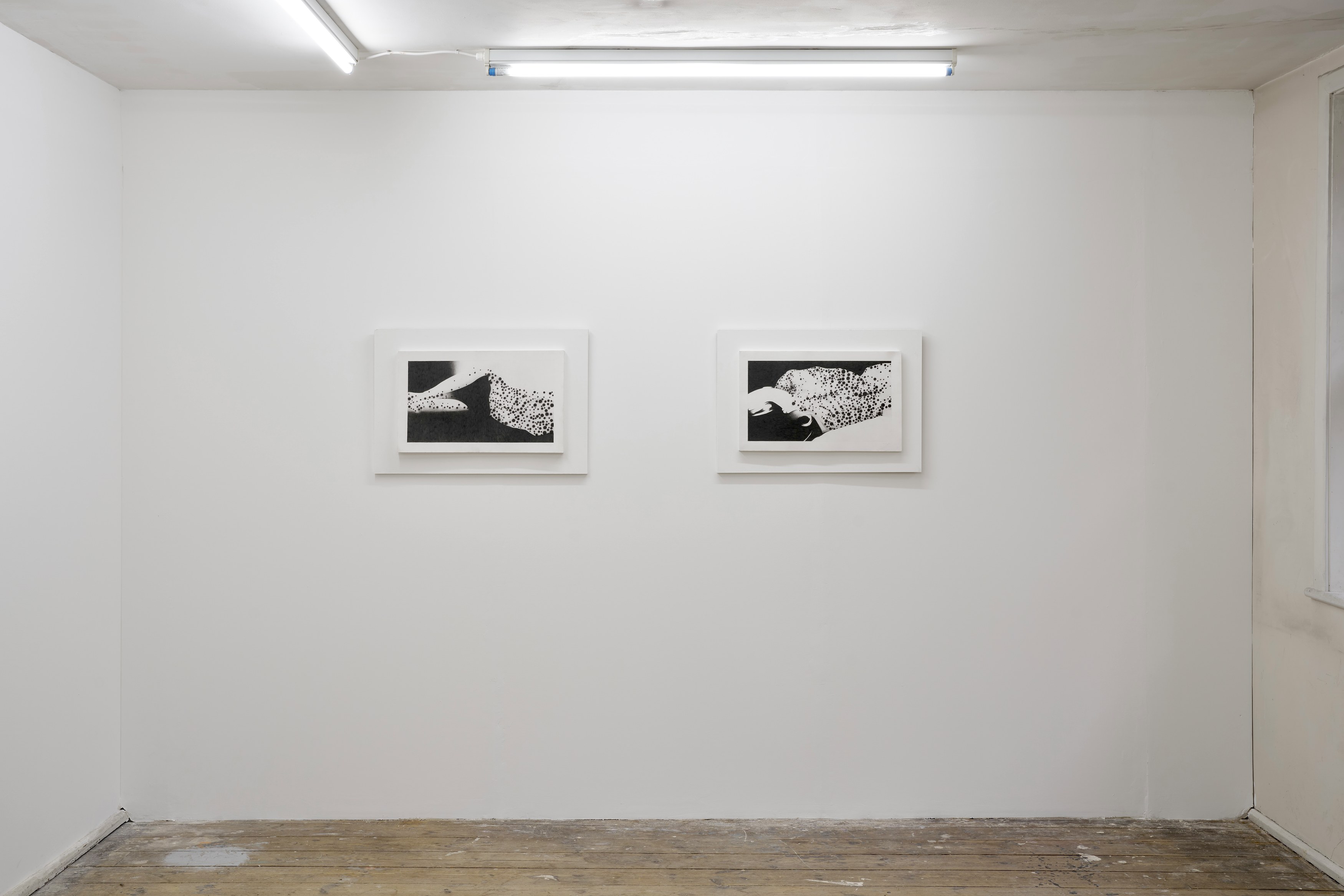 Benjamin Anderson, Spotted Figures at Gestures, photo 18