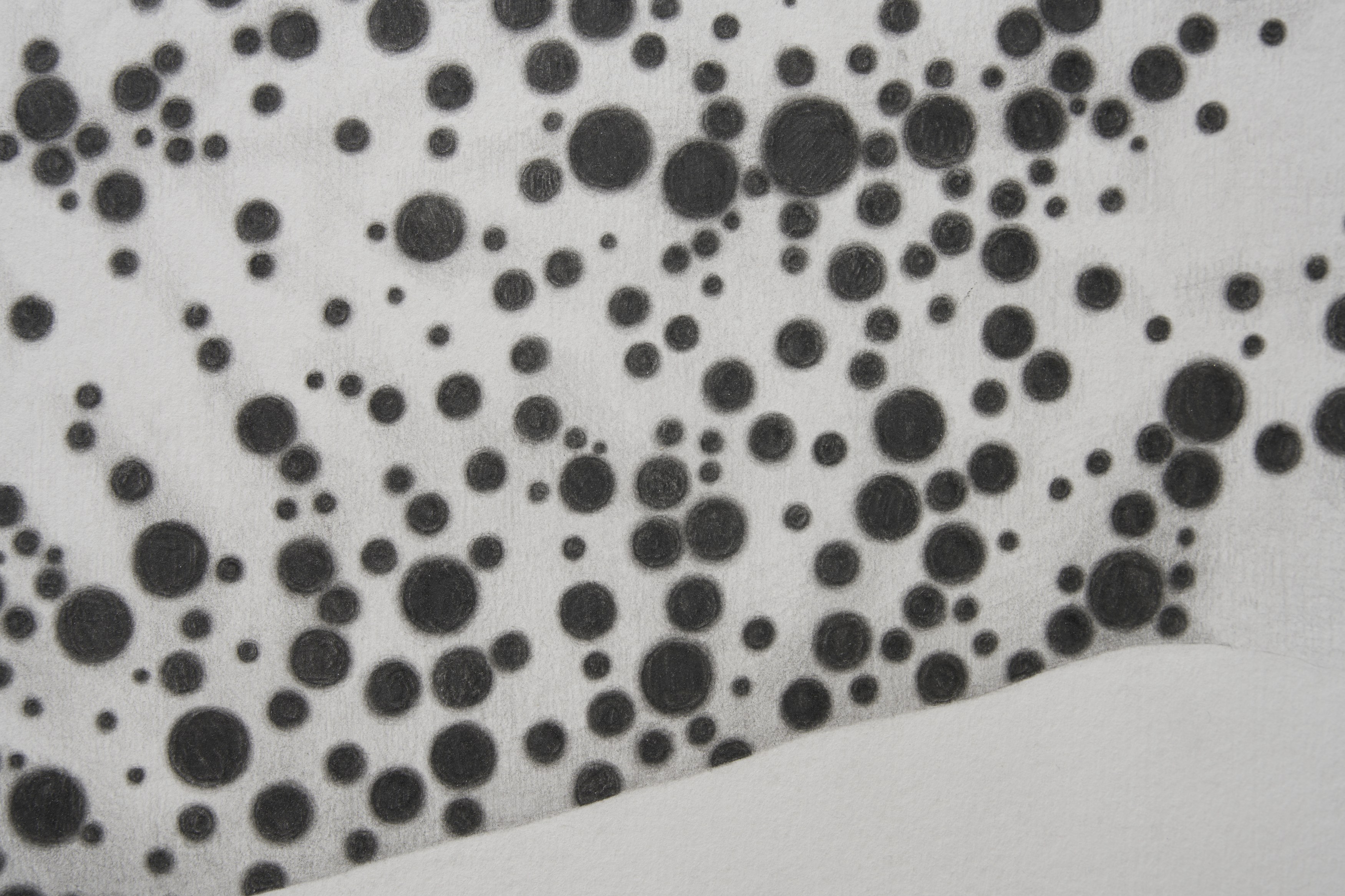 Benjamin Anderson, Spotted Figures at Gestures, photo 15
