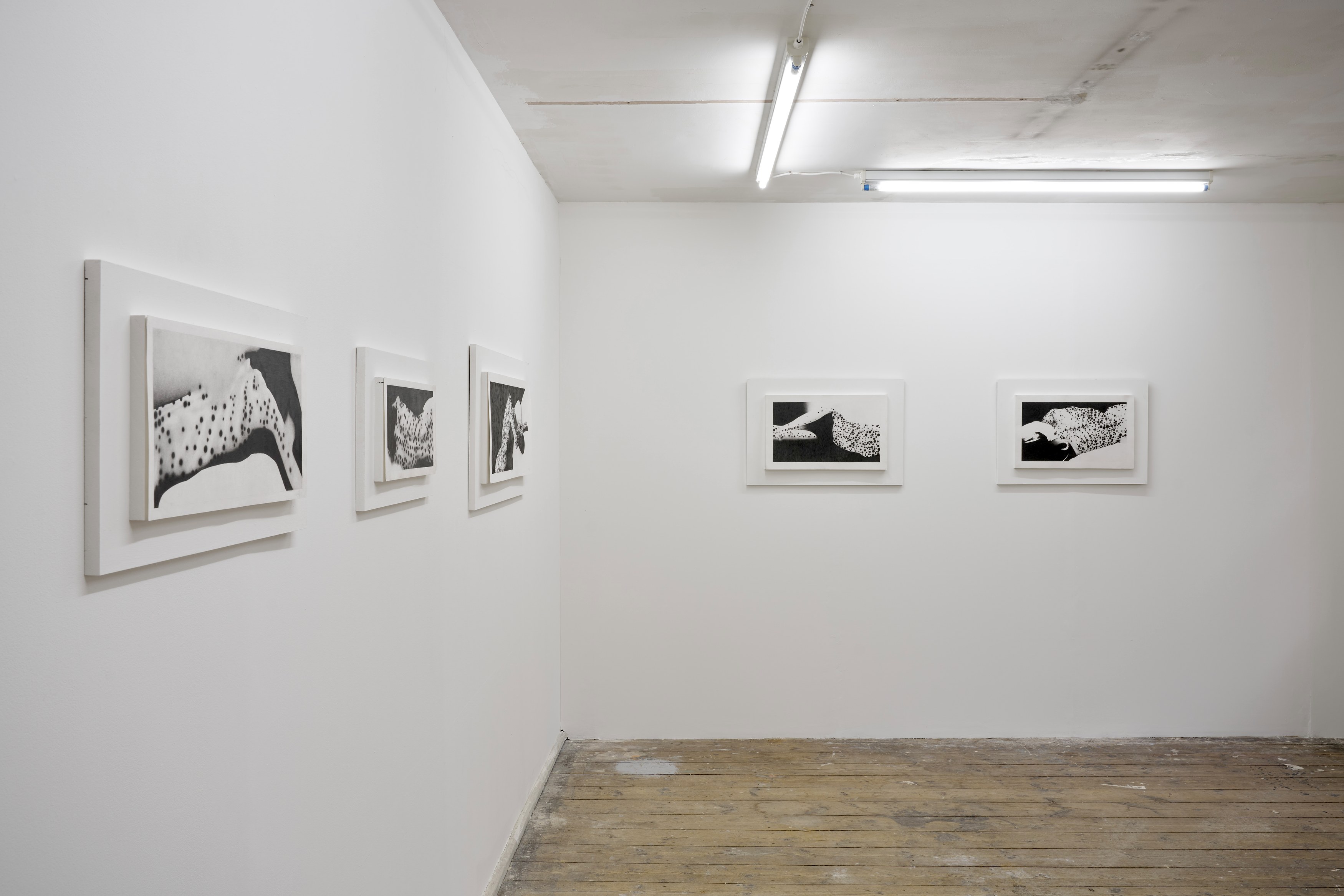 Benjamin Anderson, Spotted Figures at Gestures, photo 19