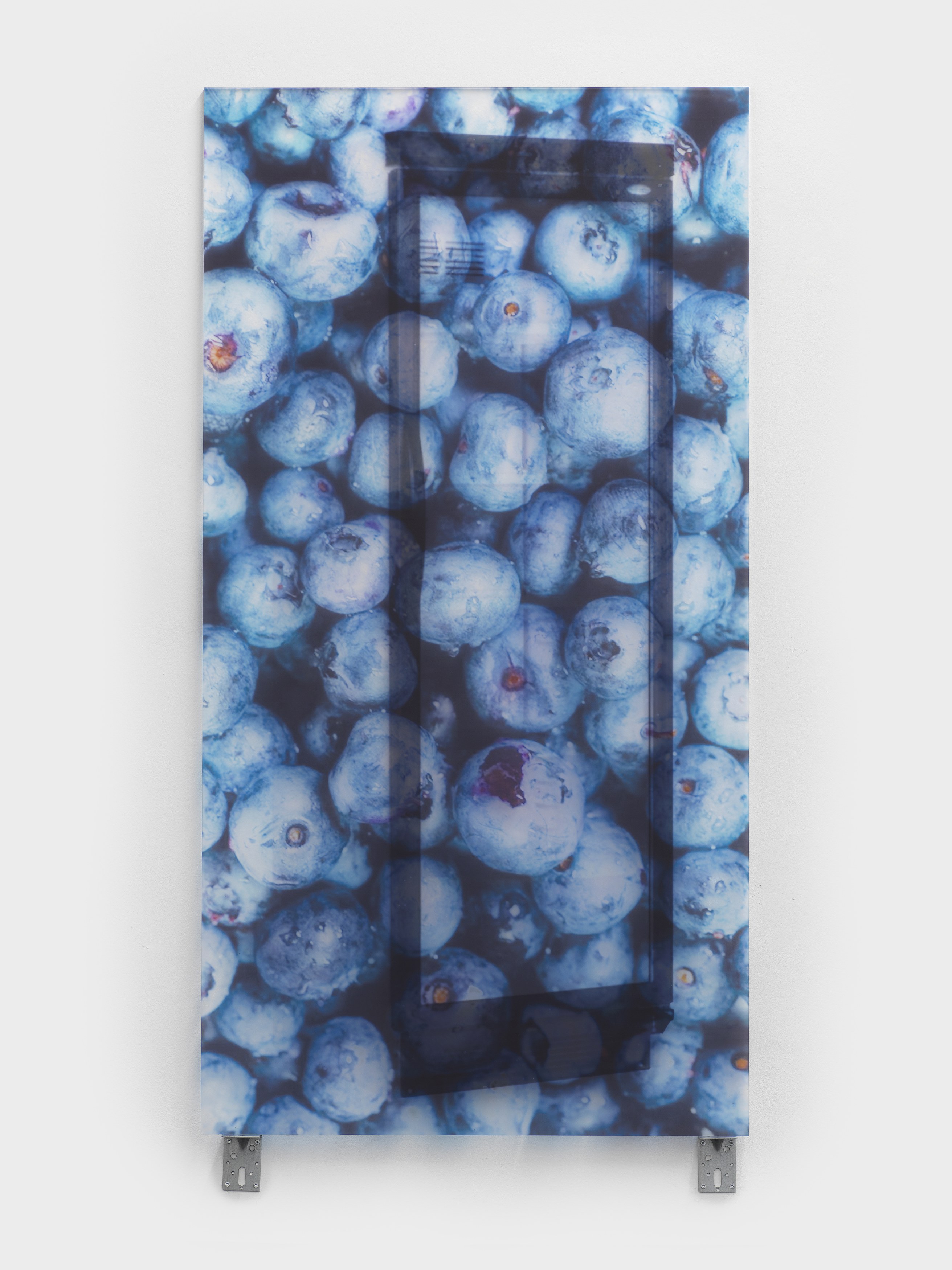 Gili Tal, Soft and Bouncy at Galerie Buchholz, Berlin, photo 19