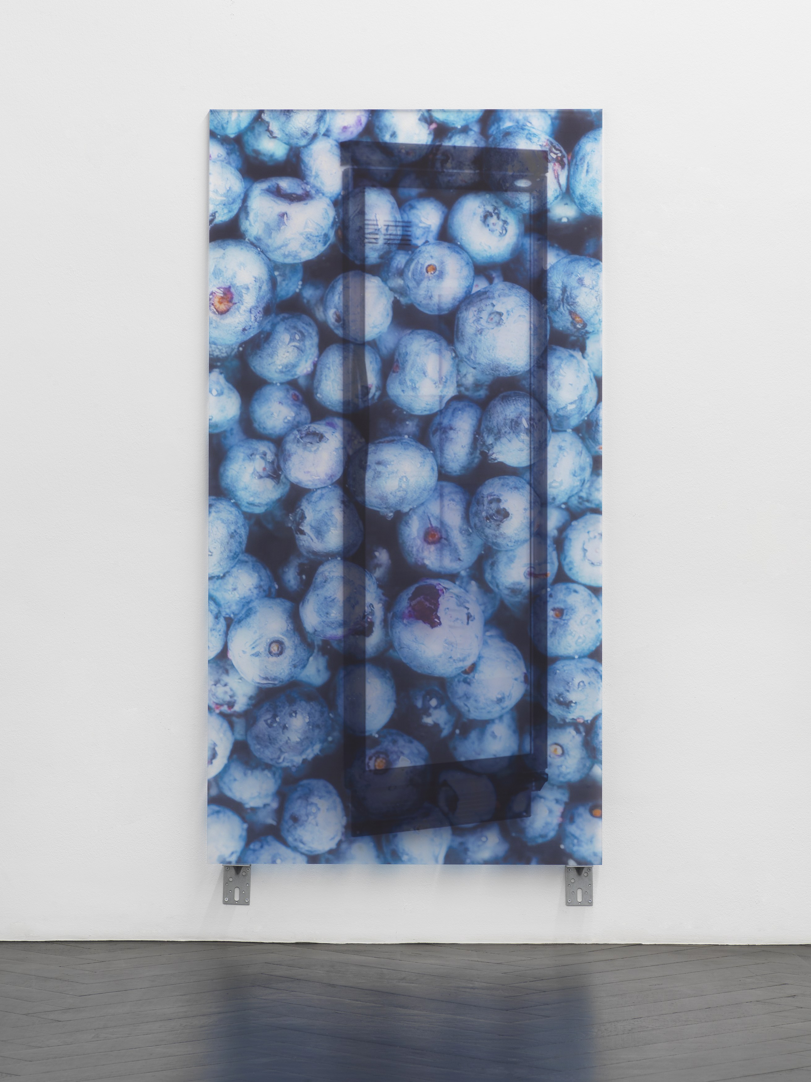 Gili Tal, Soft and Bouncy at Galerie Buchholz, Berlin, photo 18