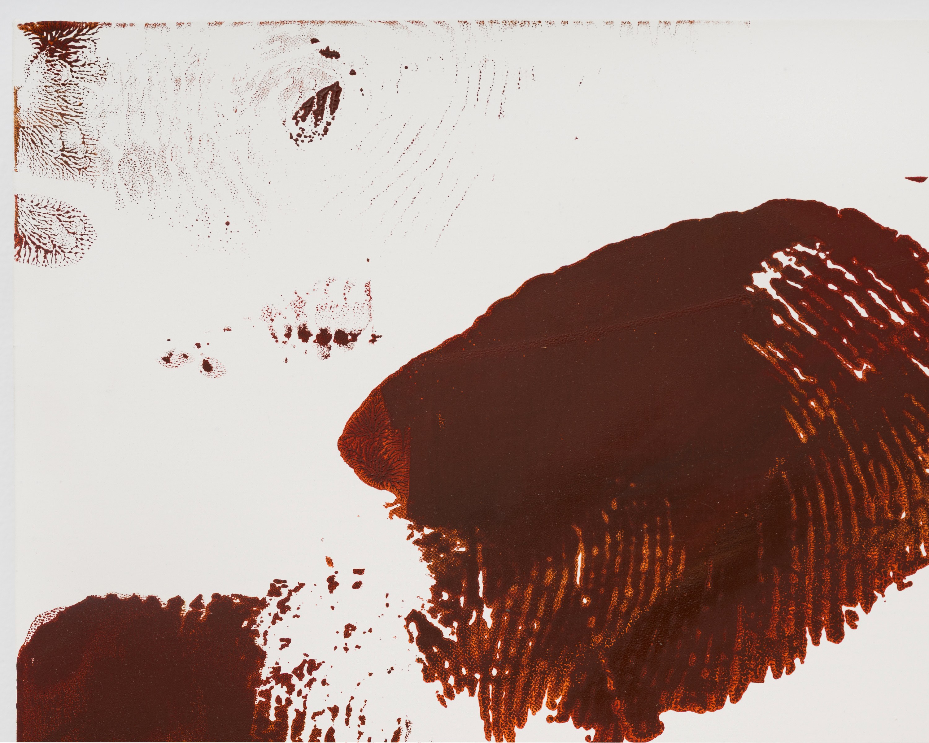 Aaron Garber-Maikovska, Sayre Gomez, Tala Madani, Christopher Richmond, image 48 of 75