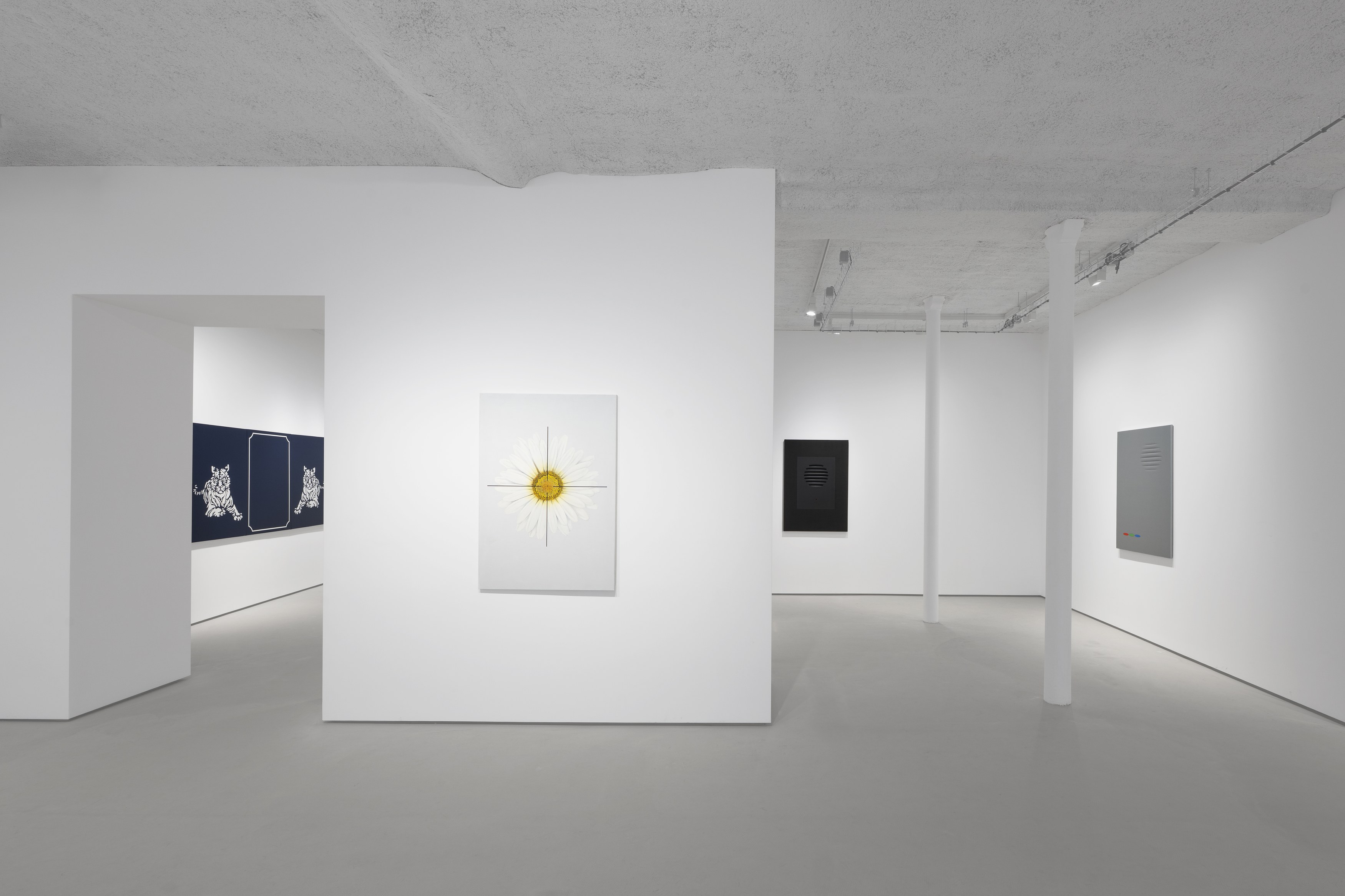 Manuel Alvess, High Surveillance at Galerie Jocelyn Wolff, photo 10