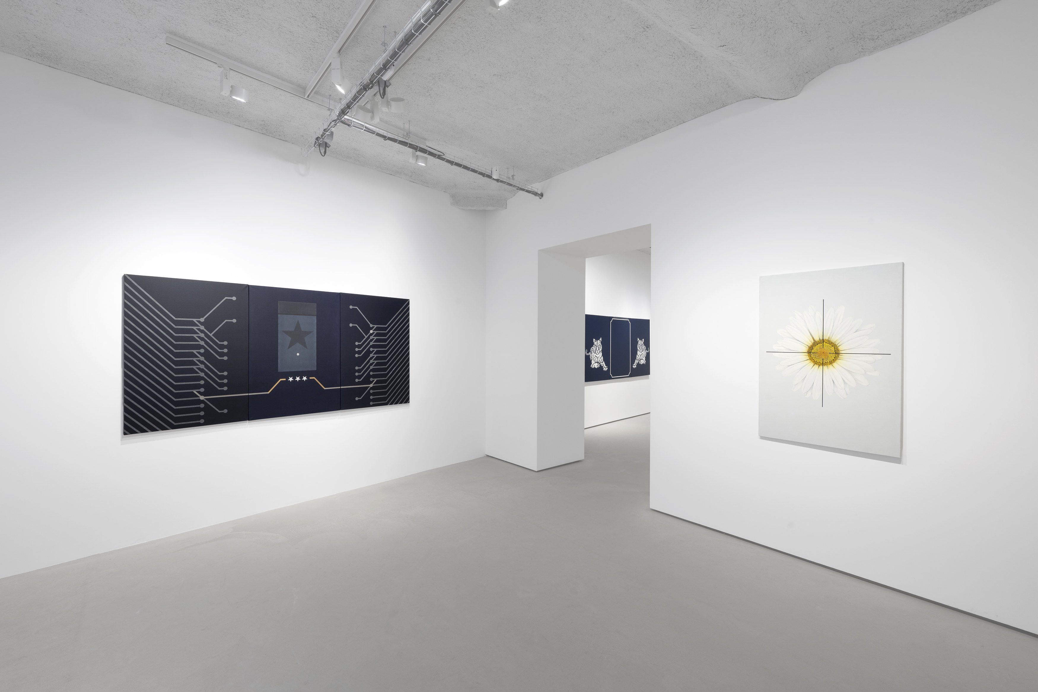 Manuel Alvess, High Surveillance at Galerie Jocelyn Wolff, photo 11