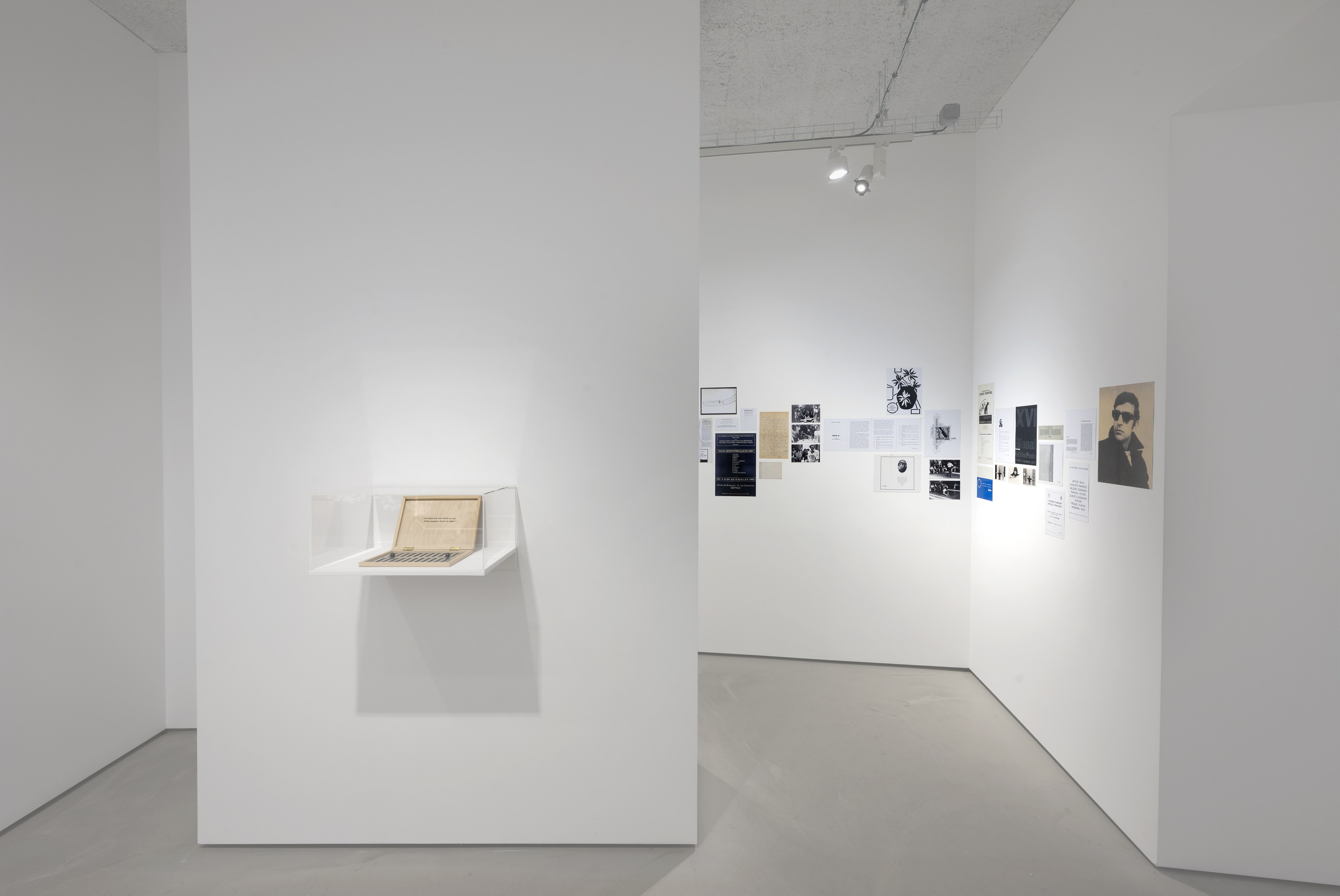 Manuel Alvess, High Surveillance at Galerie Jocelyn Wolff, photo 13