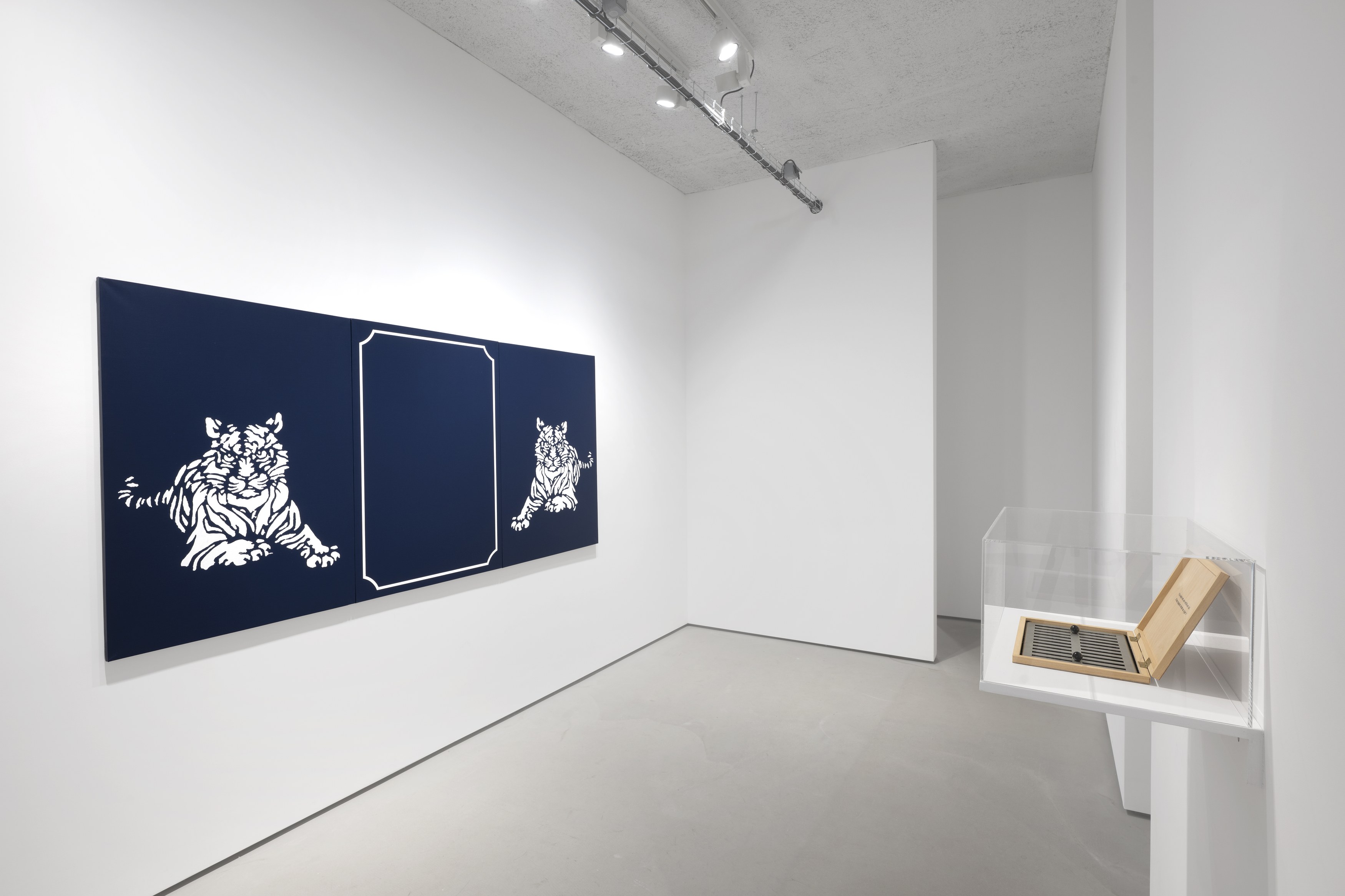 Manuel Alvess, High Surveillance at Galerie Jocelyn Wolff, photo 18