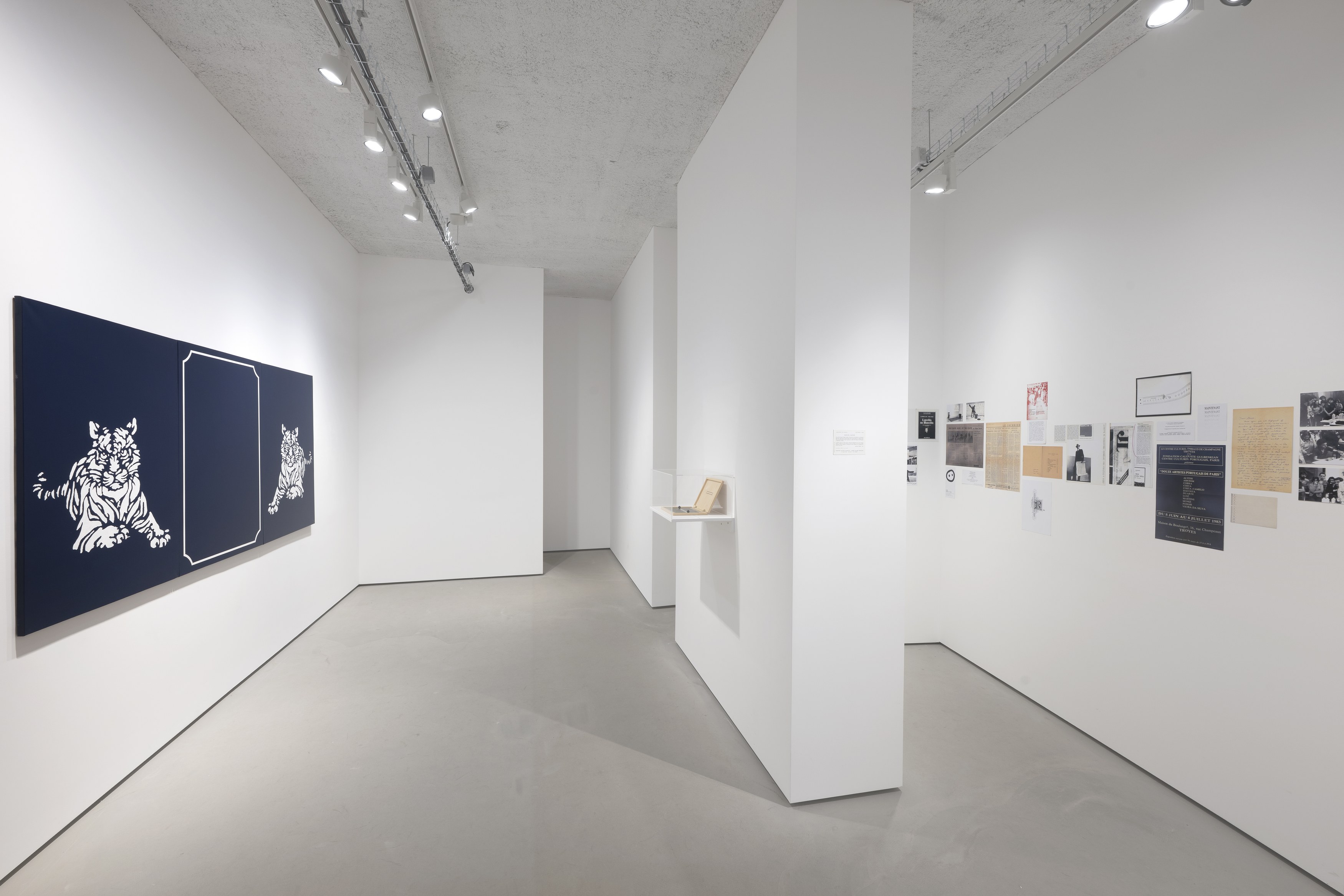 Manuel Alvess, High Surveillance at Galerie Jocelyn Wolff, photo 21