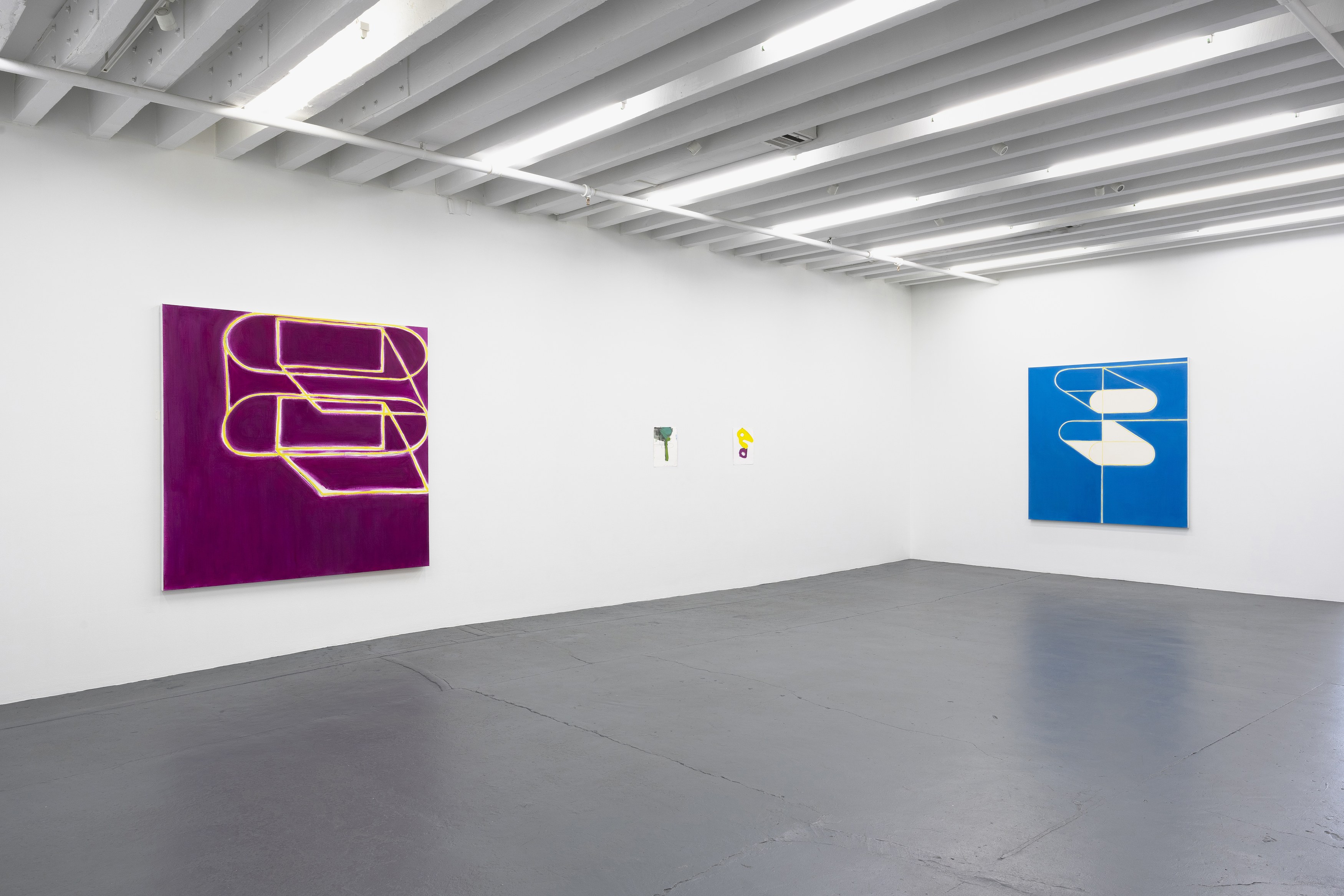 Paul Pagk, Inscriptions in a Shade of Color at Miguel Abreu, New York (88 Eldridge Street, 36 Orchard Street), photo 4