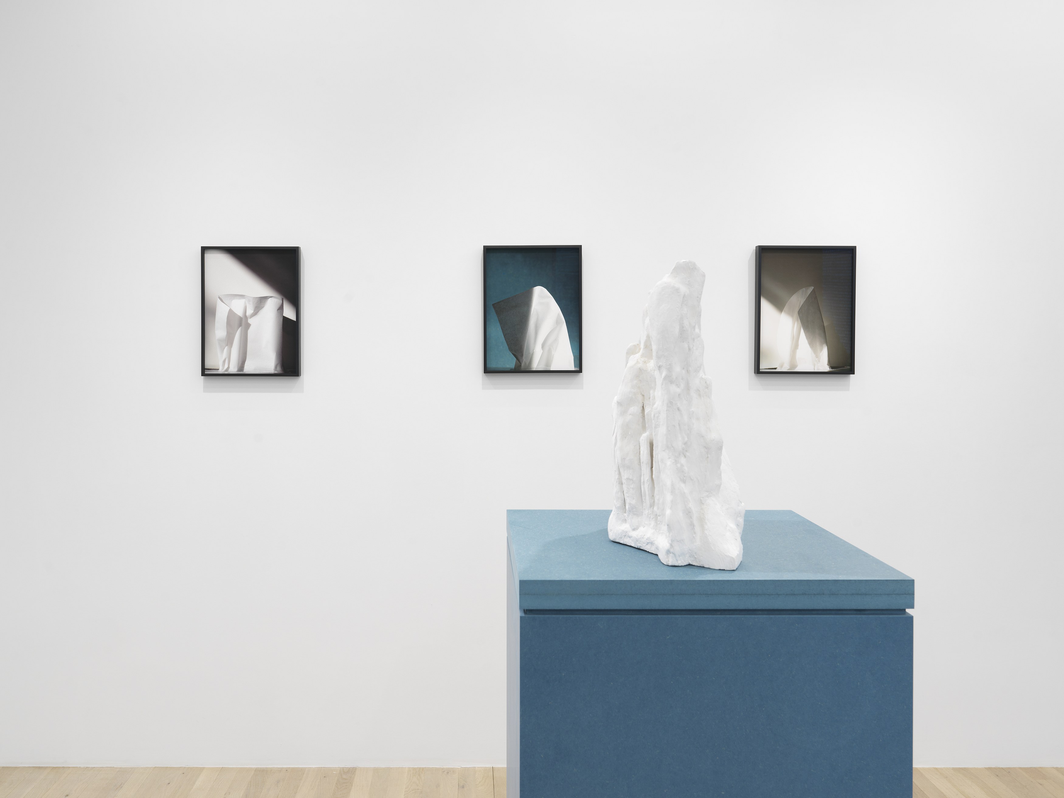 Jennifer Bolande, Persistence of Vision at Magenta Plains, photo 11