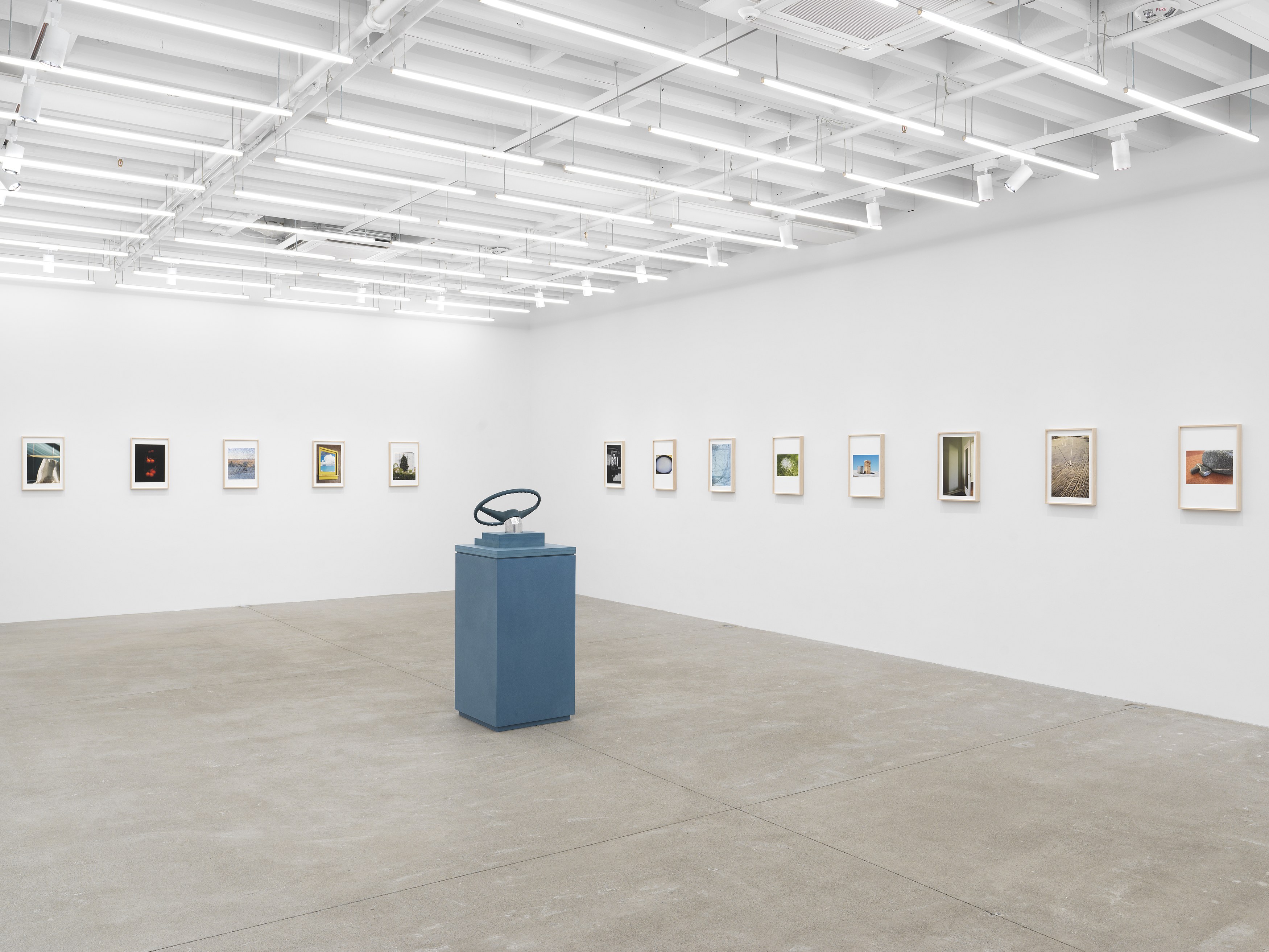 Jennifer Bolande, Persistence of Vision at Magenta Plains, photo 2