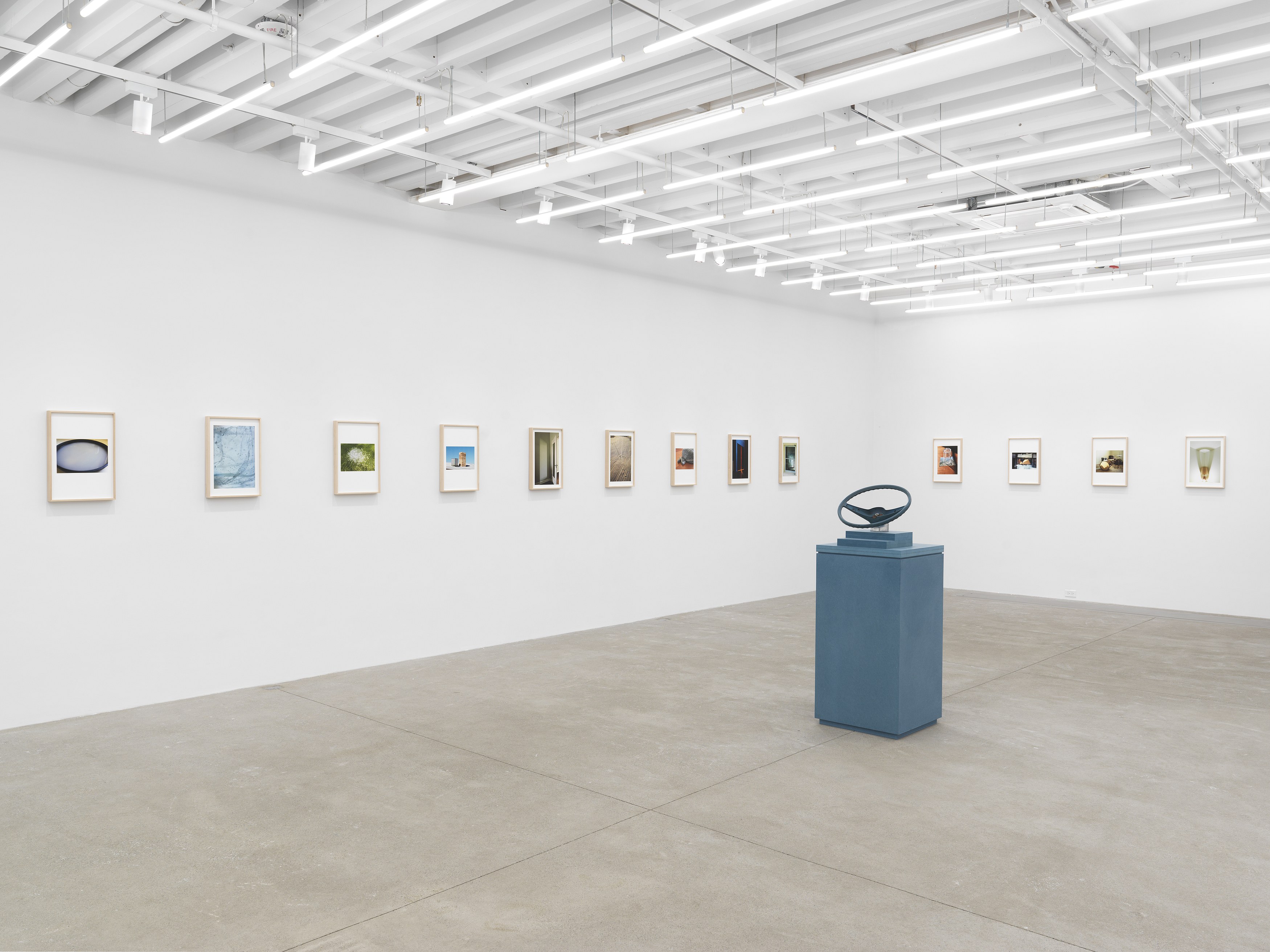 Jennifer Bolande, Persistence of Vision at Magenta Plains, photo 4