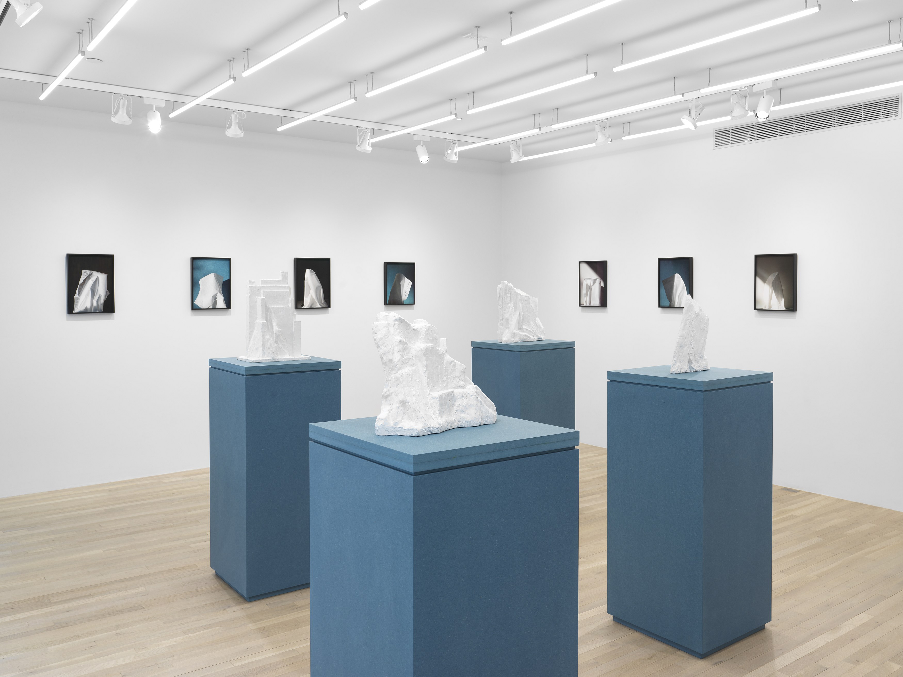 Jennifer Bolande, Persistence of Vision at Magenta Plains, photo 9