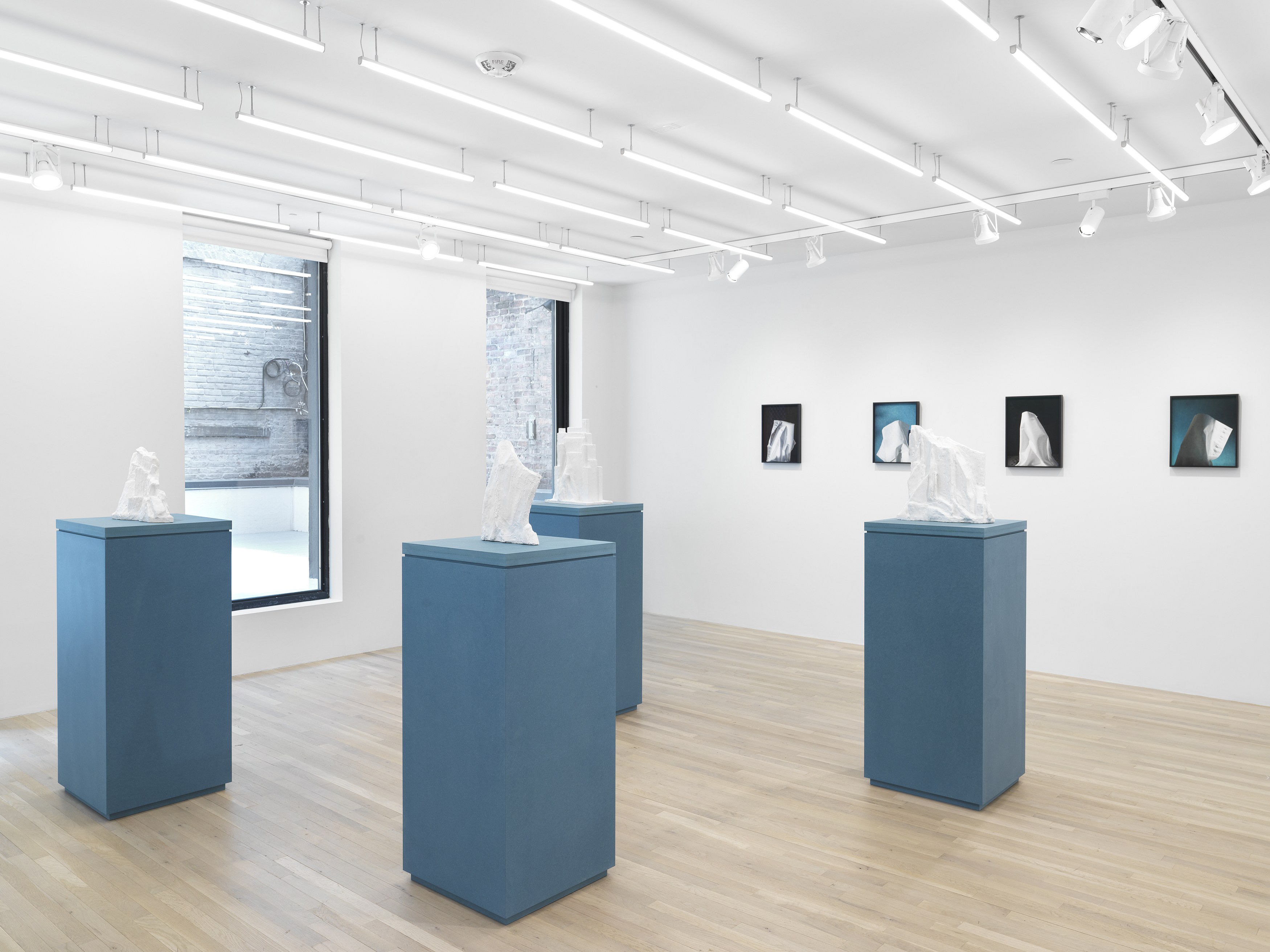 Jennifer Bolande, Persistence of Vision at Magenta Plains, photo 10
