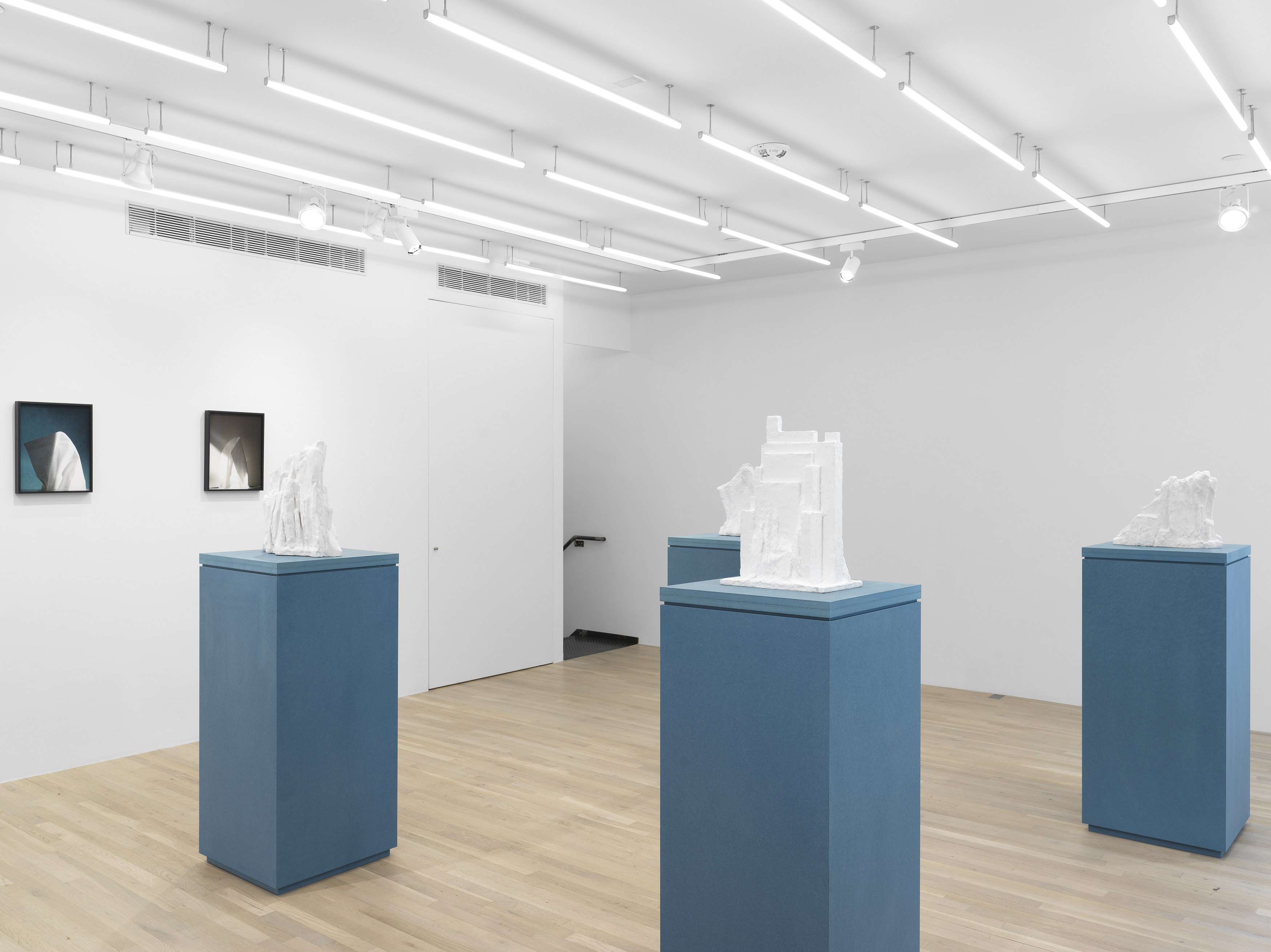 Jennifer Bolande, Persistence of Vision at Magenta Plains, photo 12