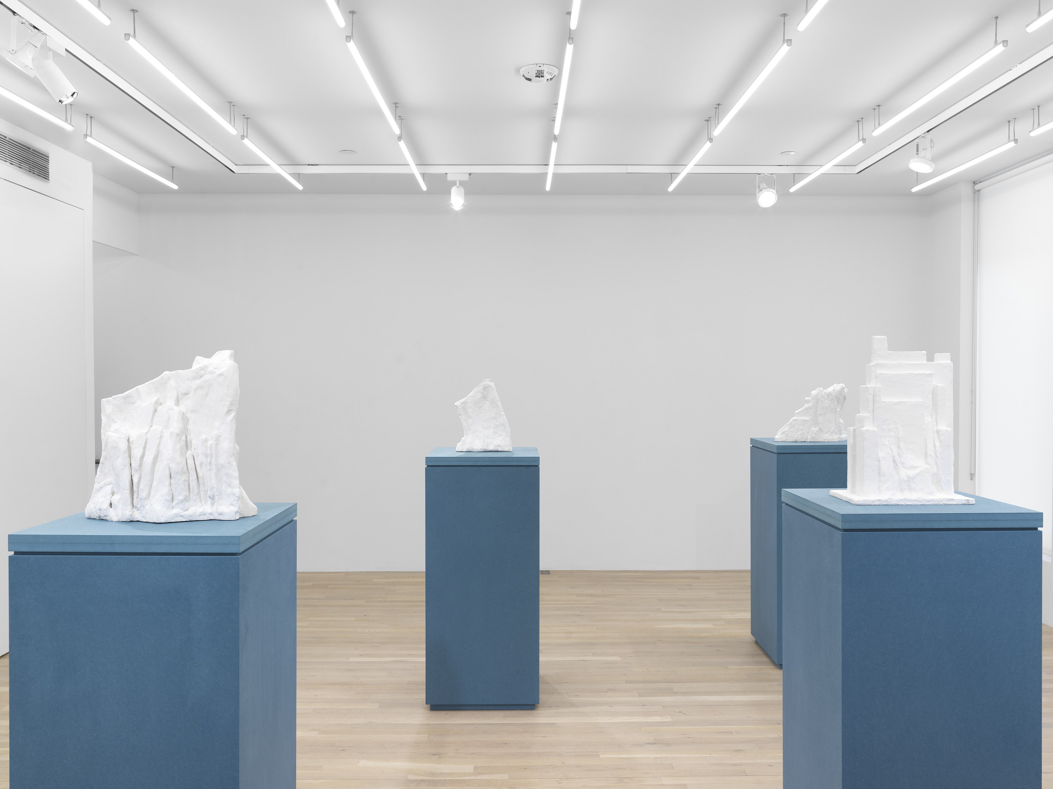 Jennifer Bolande, Persistence of Vision at Magenta Plains, photo 13