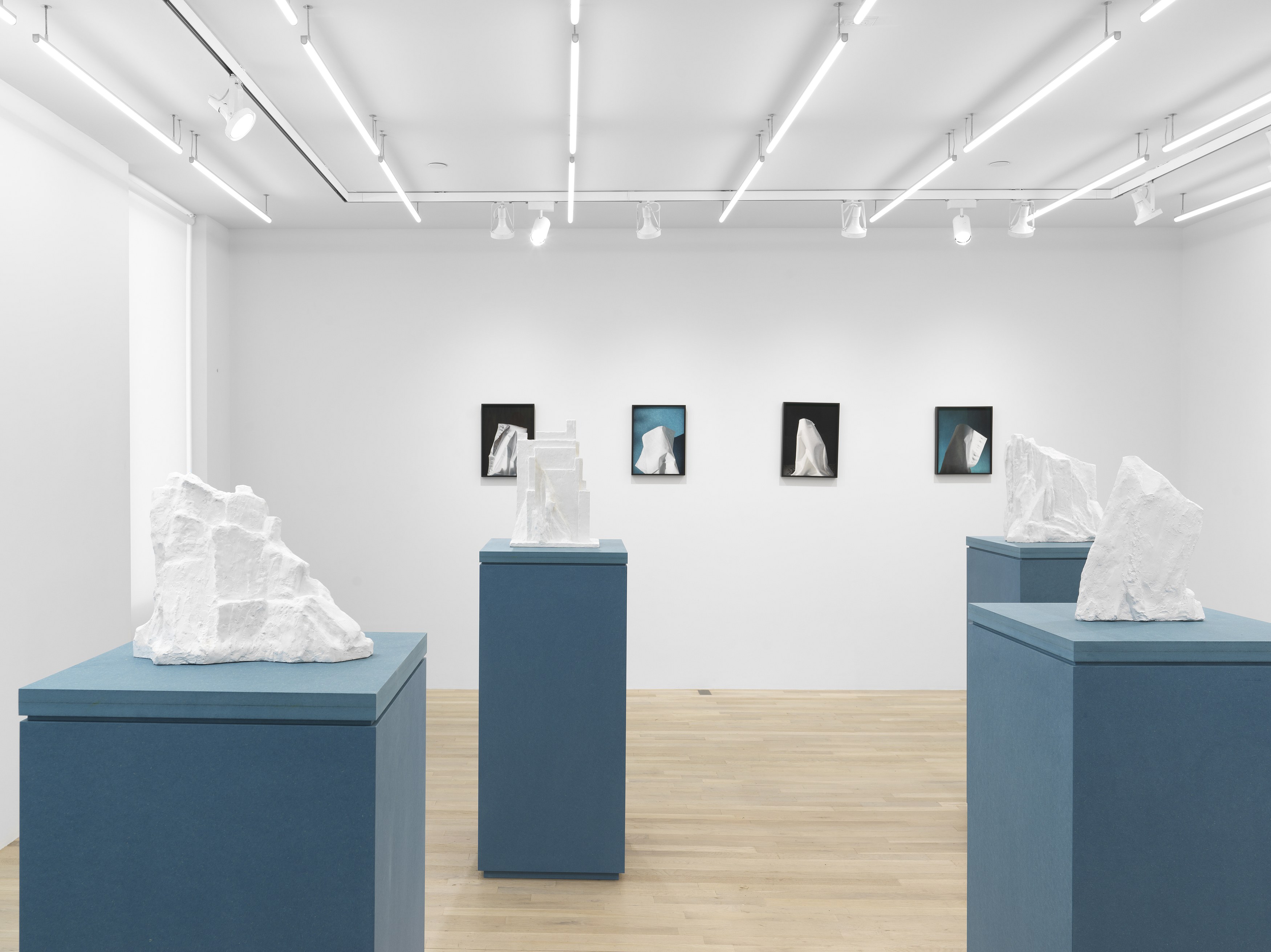 Jennifer Bolande, Persistence of Vision at Magenta Plains, photo 14
