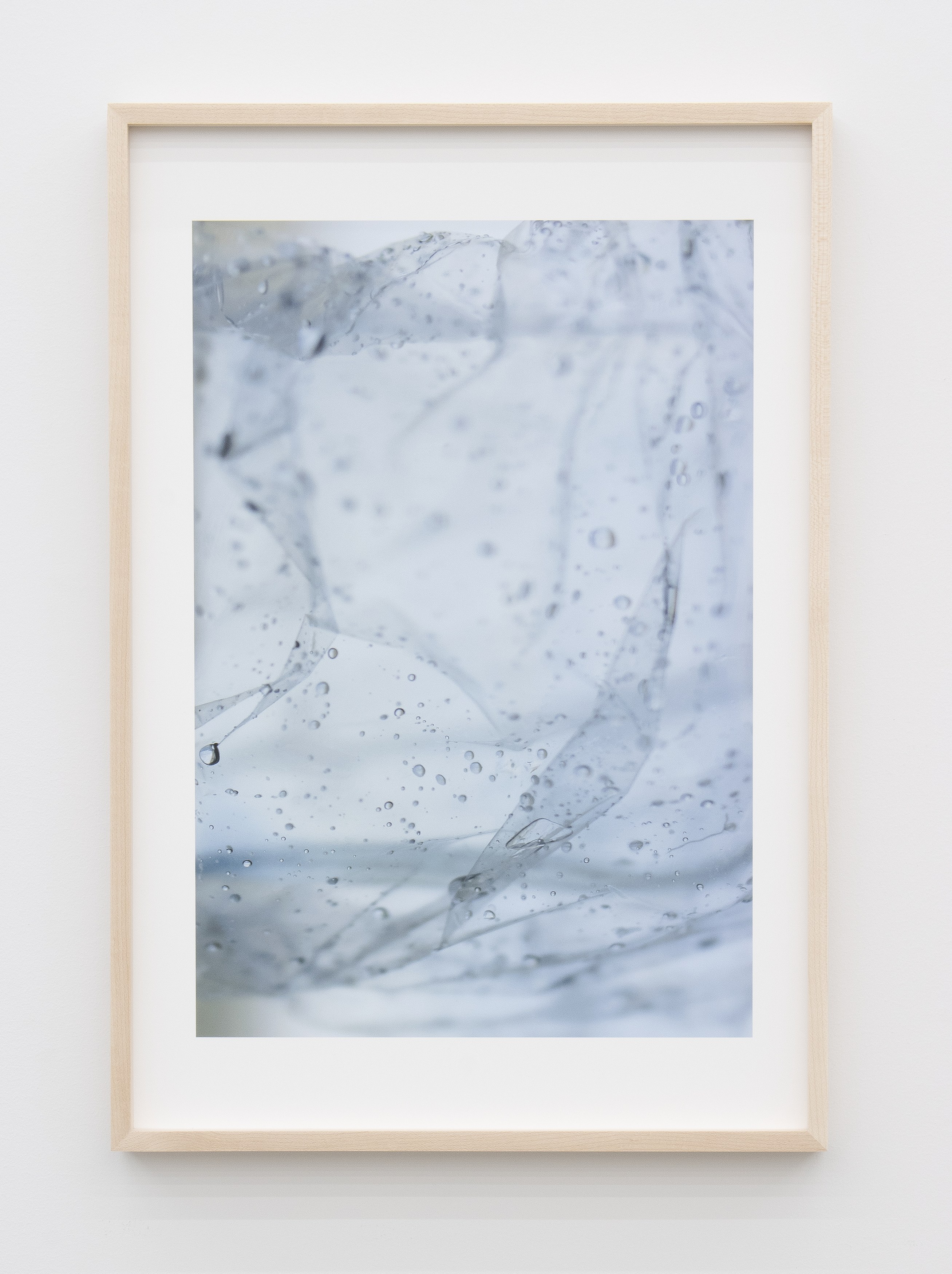 Jennifer Bolande, Persistence of Vision at Magenta Plains, photo 24