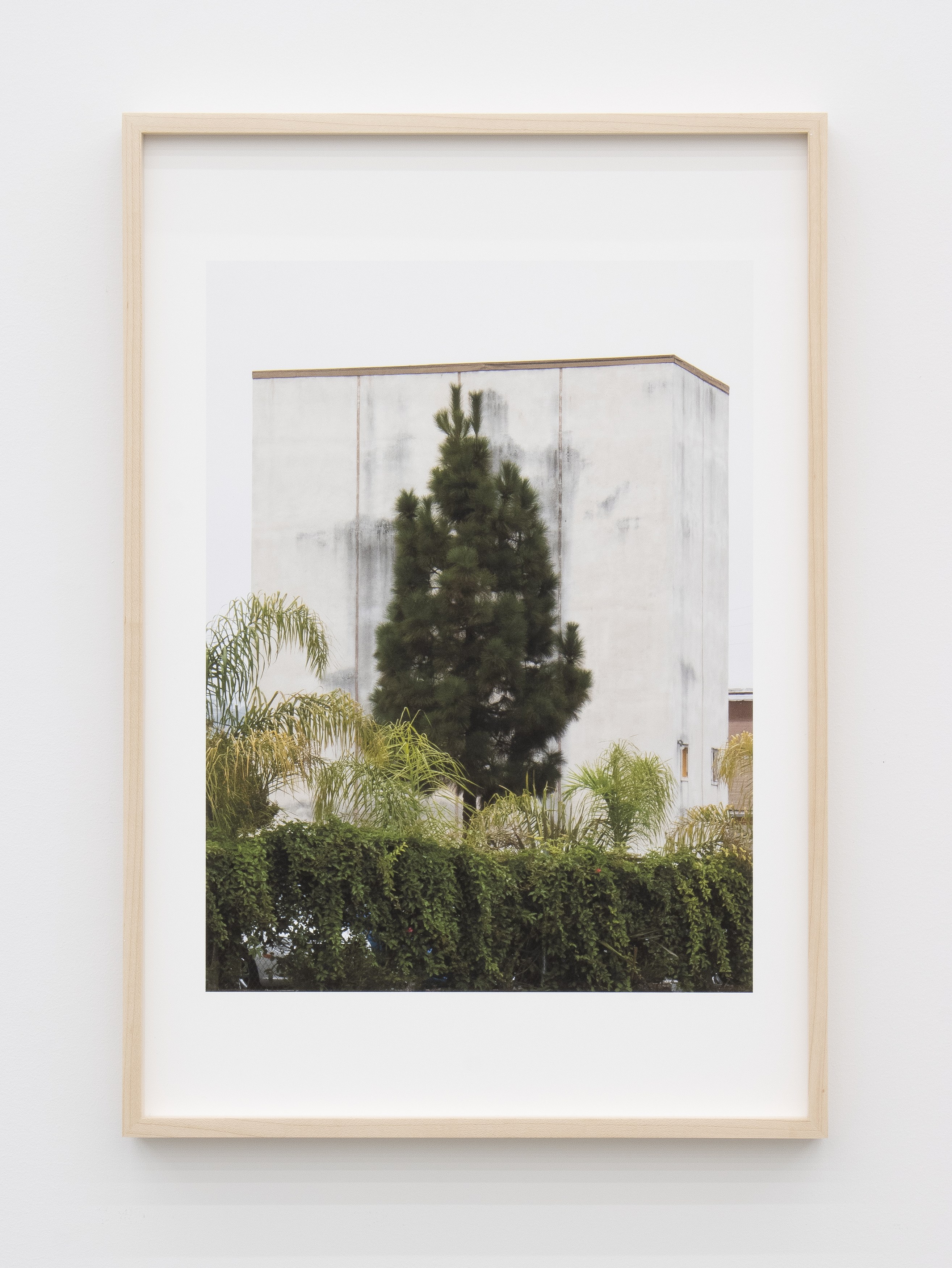 Jennifer Bolande, Persistence of Vision at Magenta Plains, photo 23