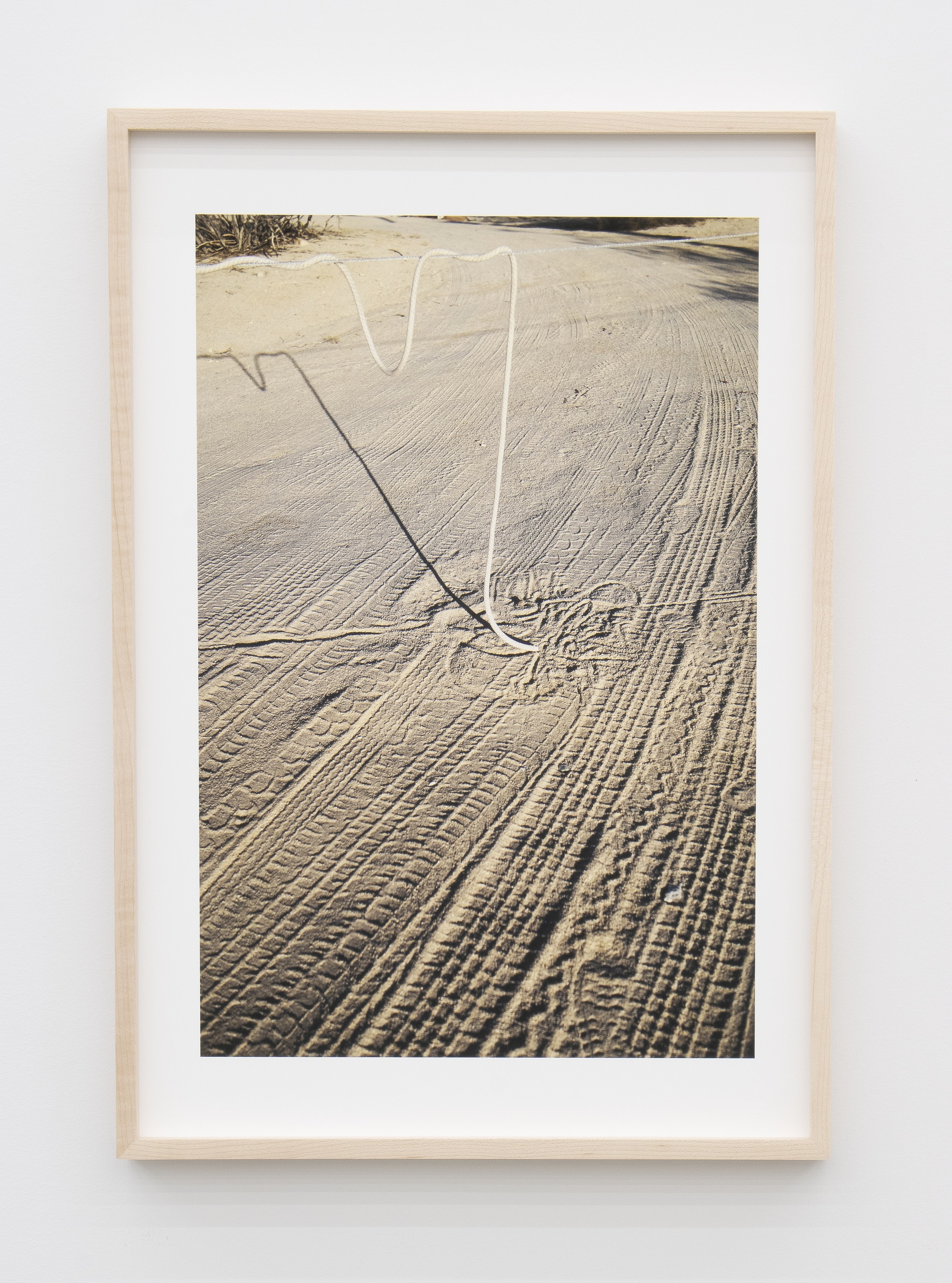 Jennifer Bolande, Persistence of Vision at Magenta Plains, photo 26