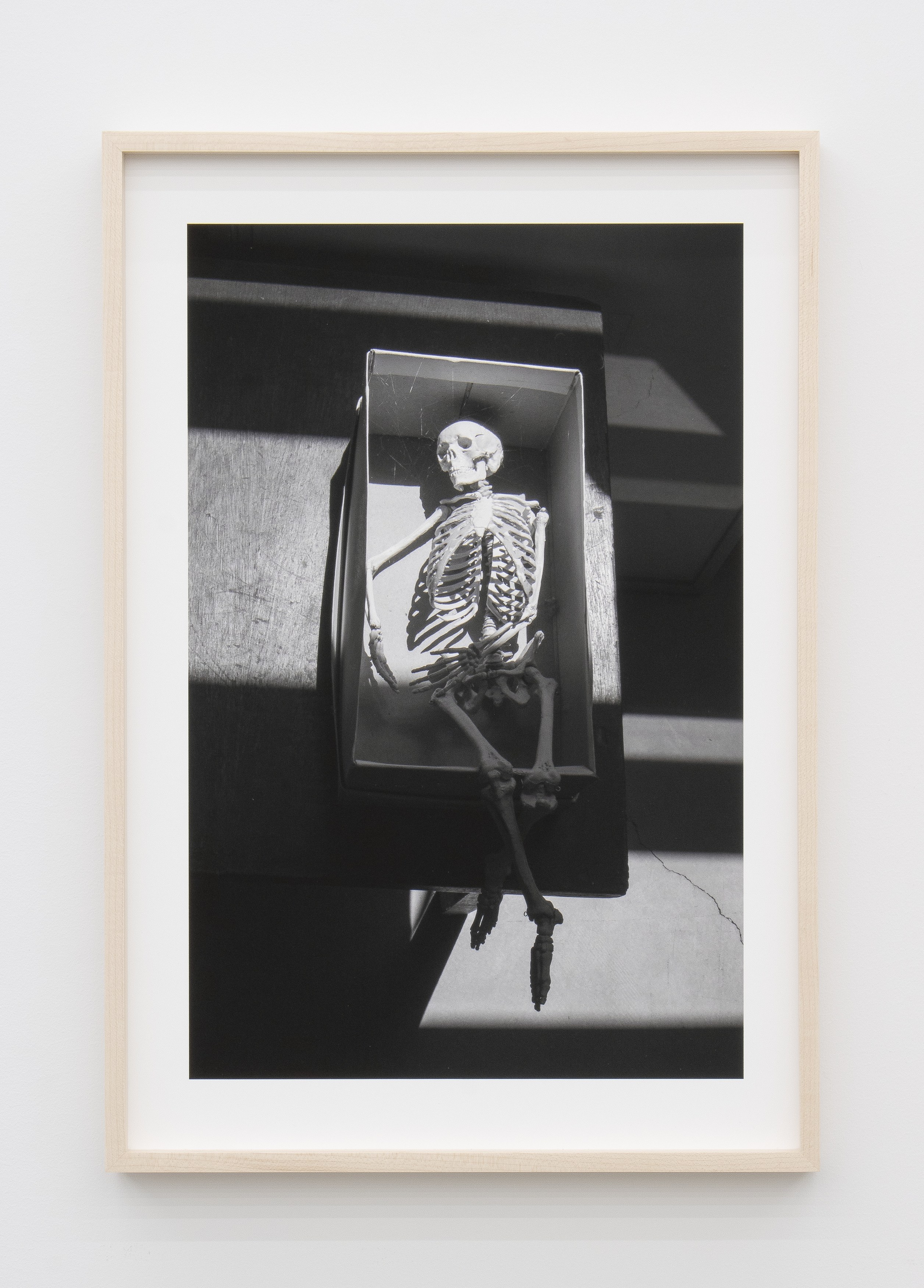 Jennifer Bolande, Persistence of Vision at Magenta Plains, photo 30