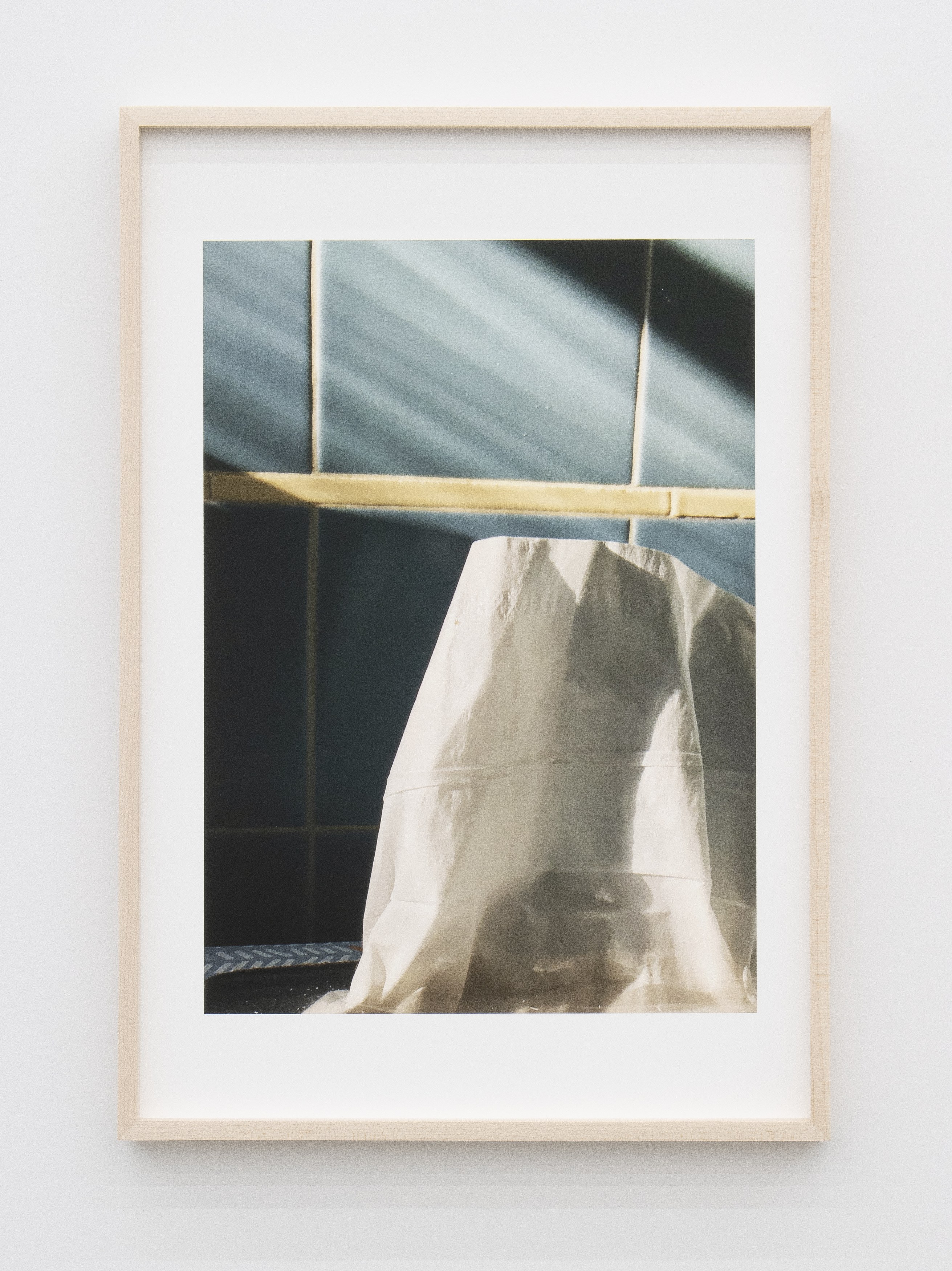 Jennifer Bolande, Persistence of Vision at Magenta Plains, photo 32
