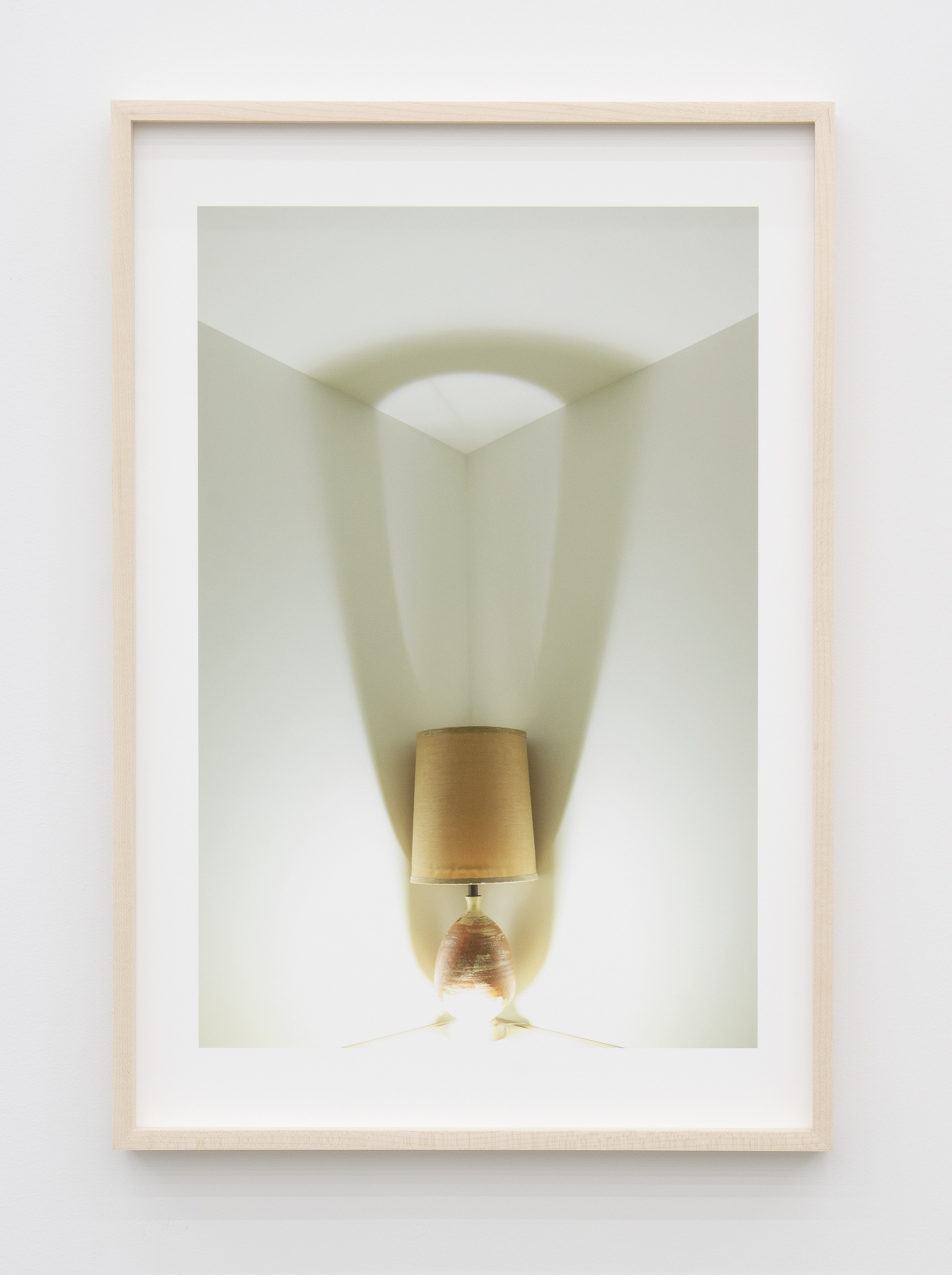 Jennifer Bolande, Persistence of Vision at Magenta Plains, photo 35