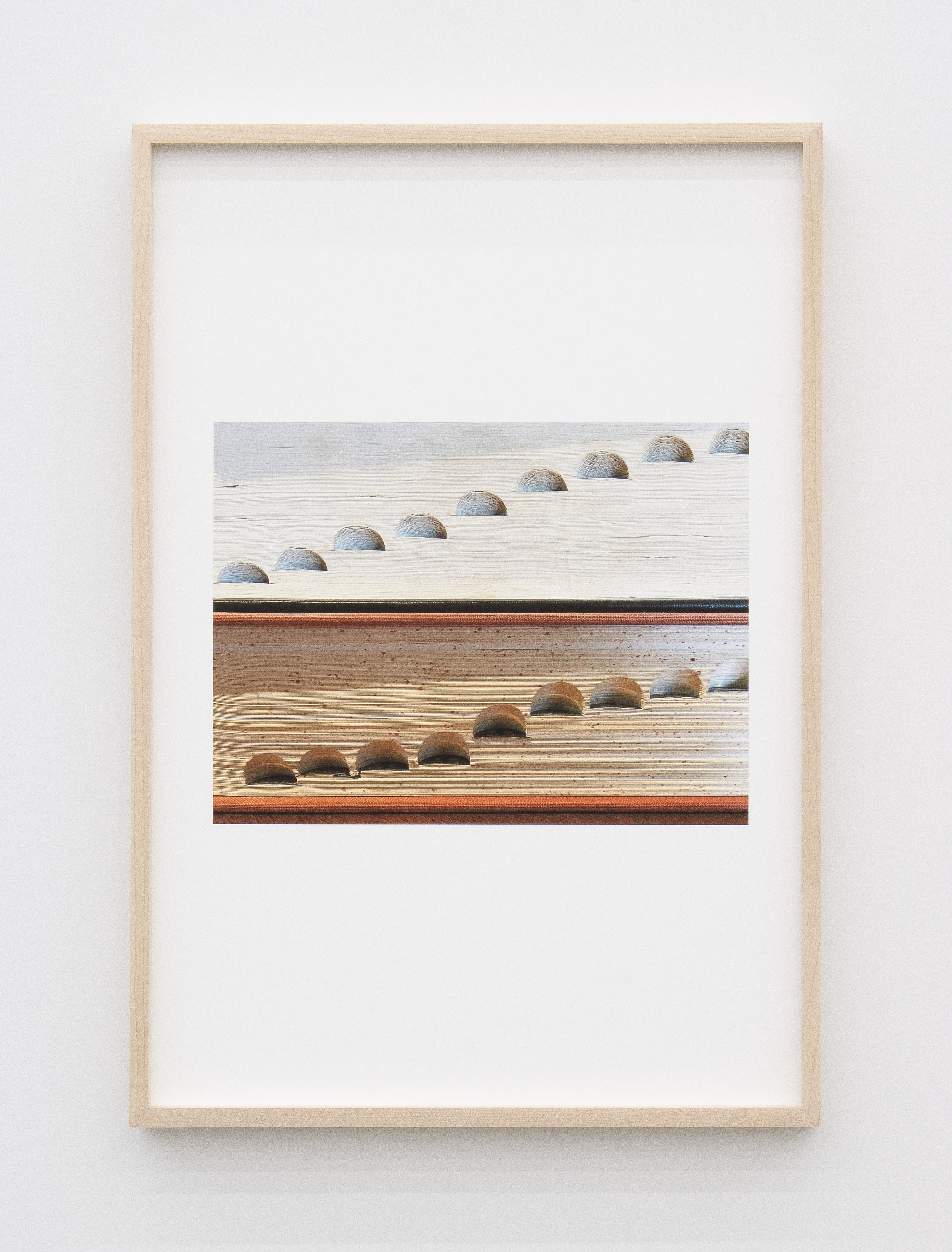 Jennifer Bolande, Persistence of Vision at Magenta Plains, photo 38