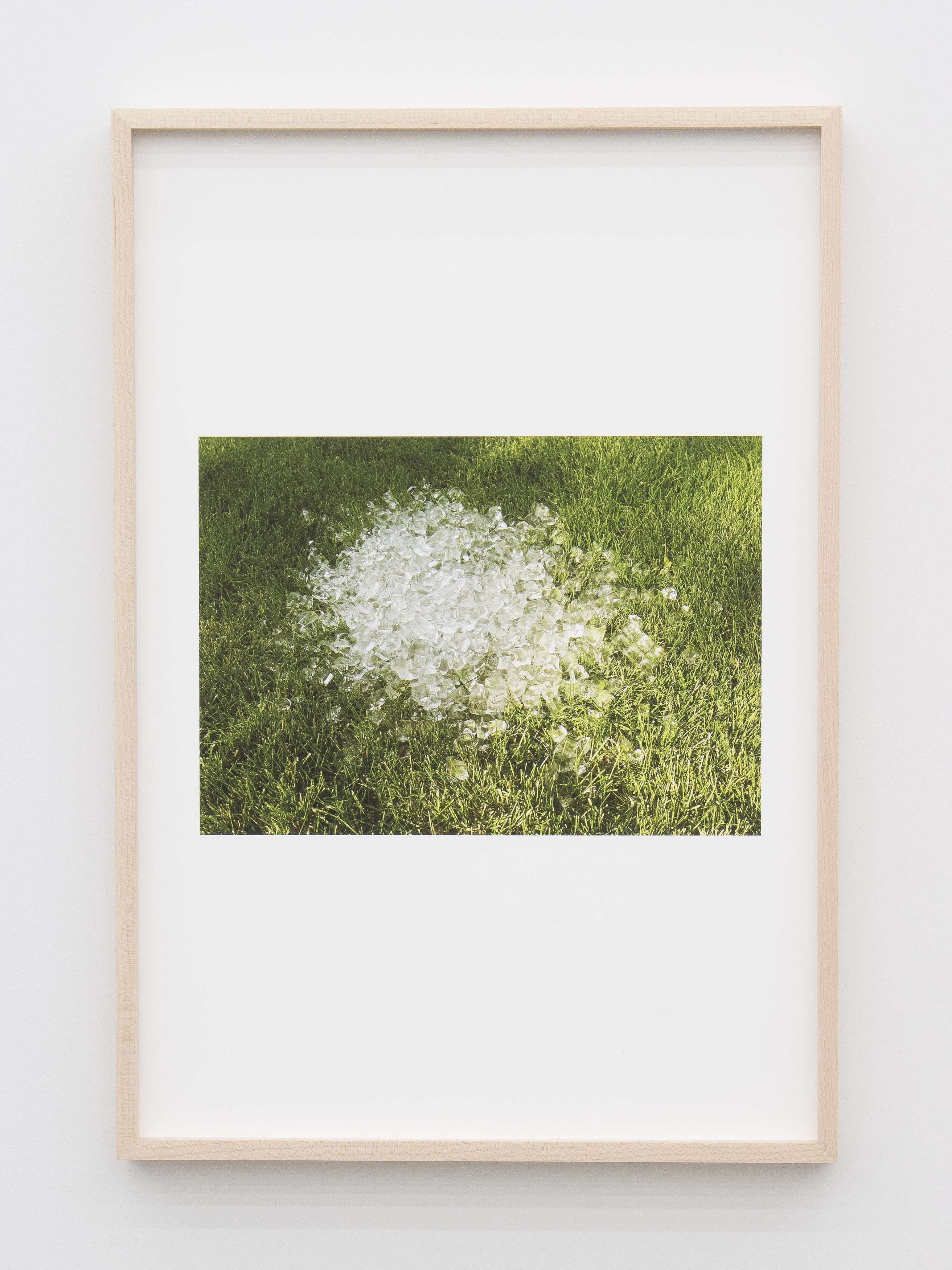 Jennifer Bolande, Persistence of Vision at Magenta Plains, photo 39