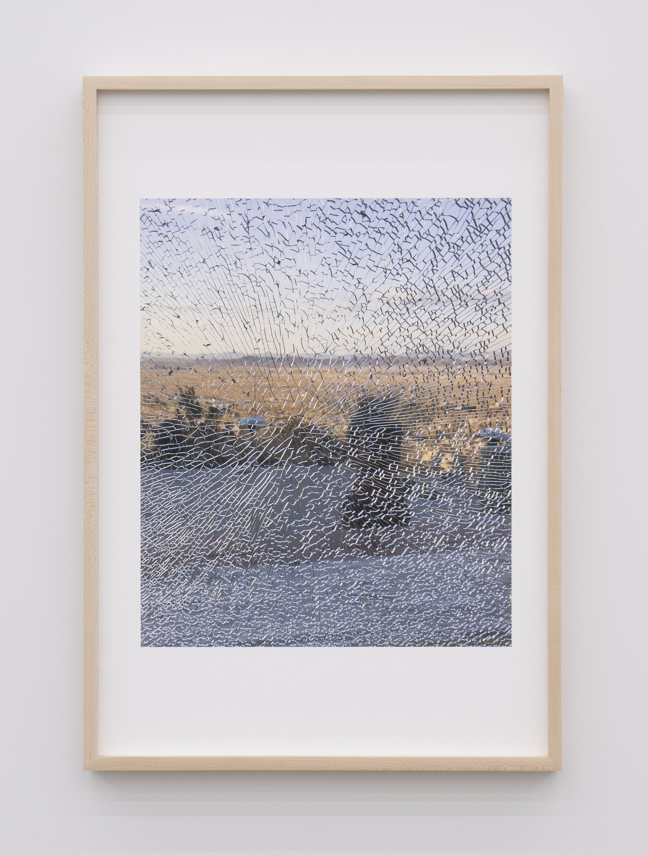 Jennifer Bolande, Persistence of Vision at Magenta Plains, photo 40