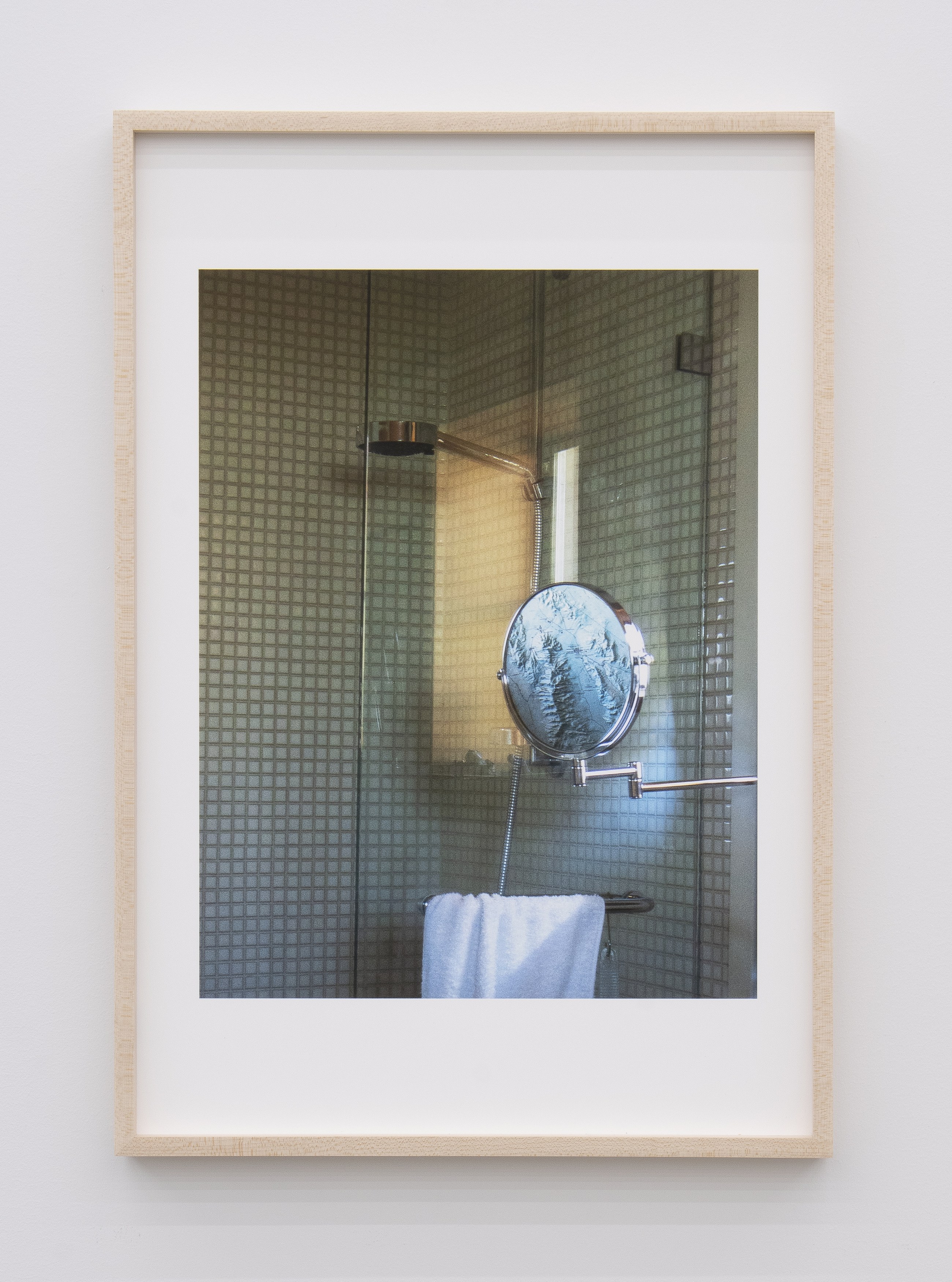 Jennifer Bolande, Persistence of Vision at Magenta Plains, photo 42
