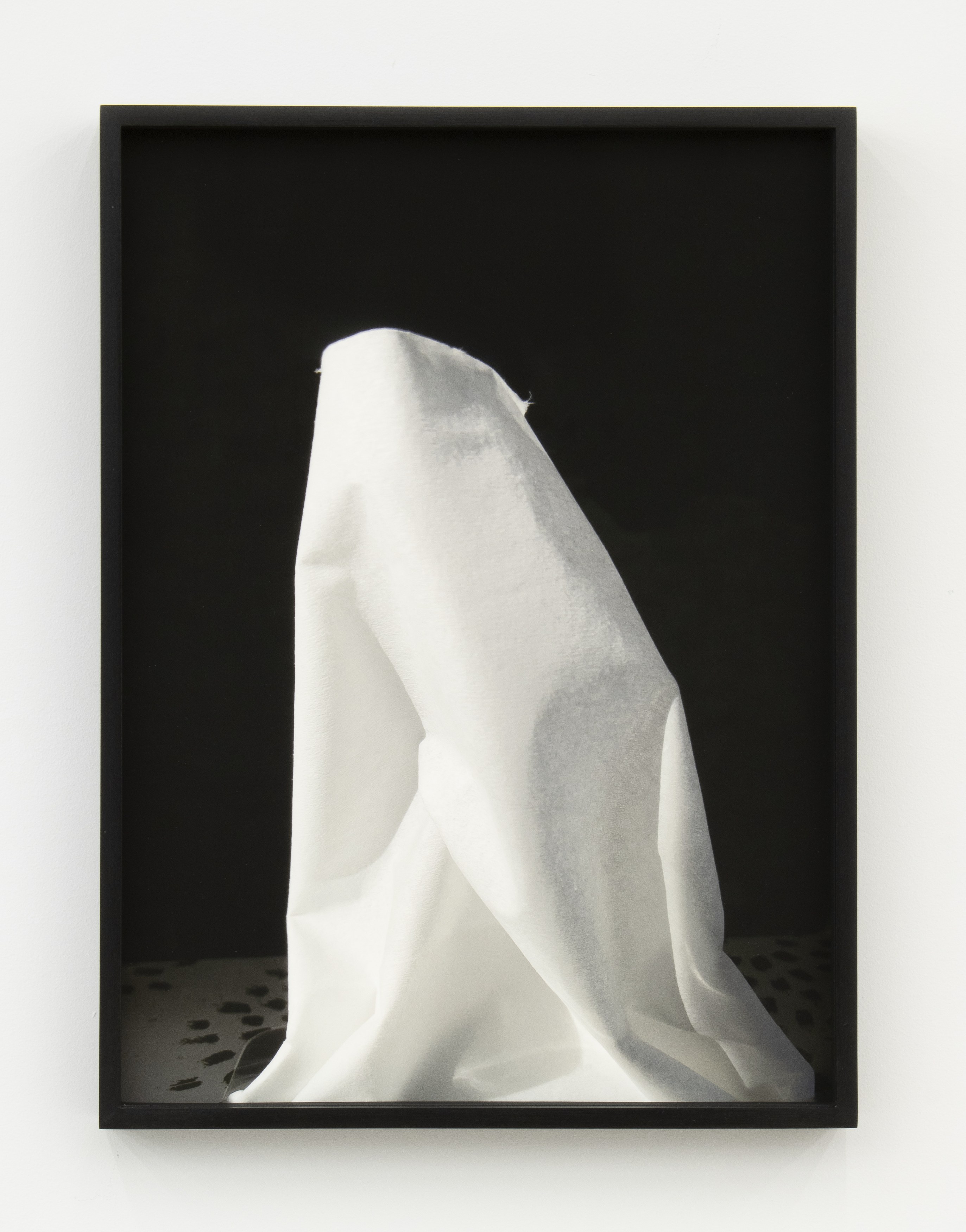 Jennifer Bolande, Persistence of Vision at Magenta Plains, photo 43