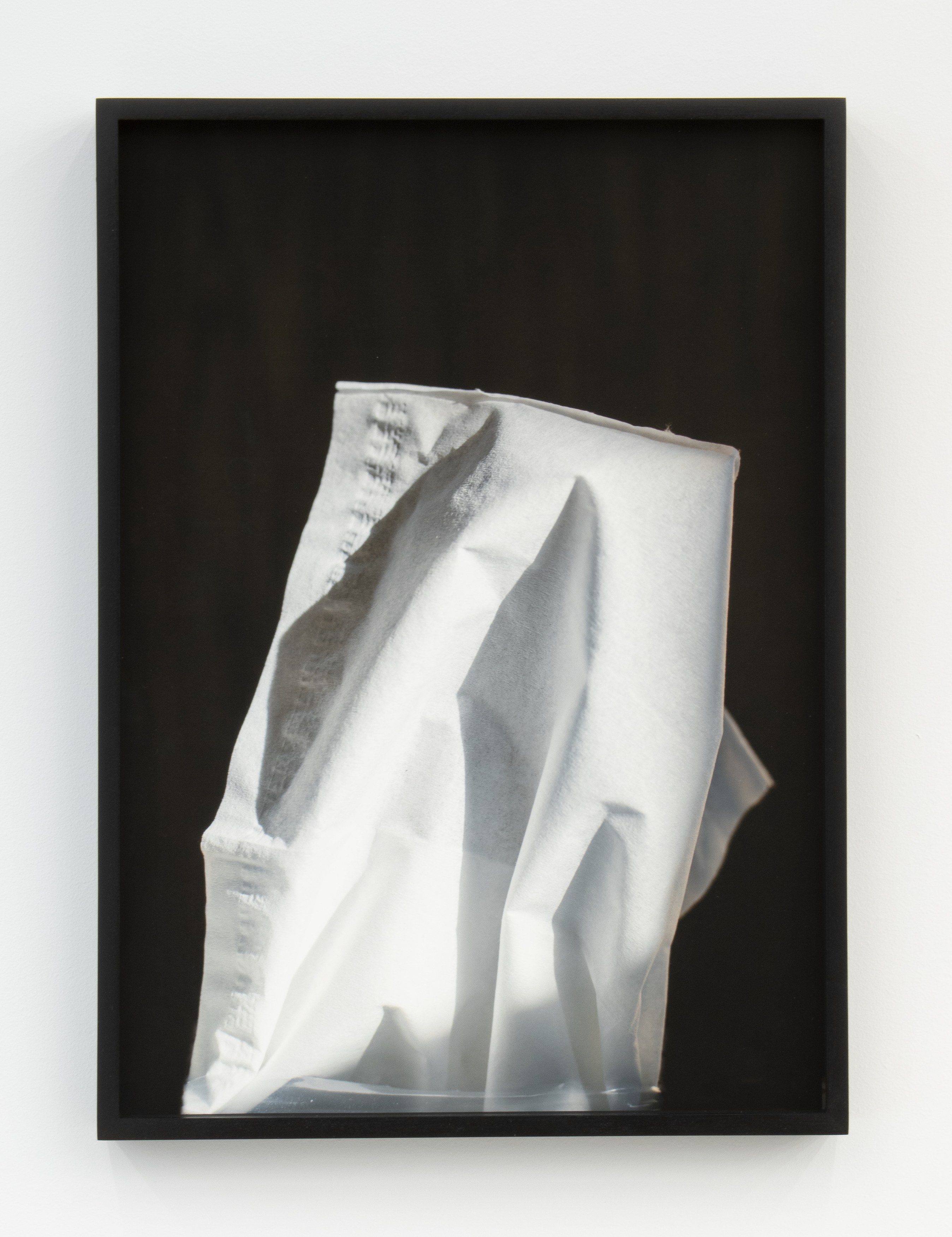 Jennifer Bolande, Persistence of Vision at Magenta Plains, photo 44