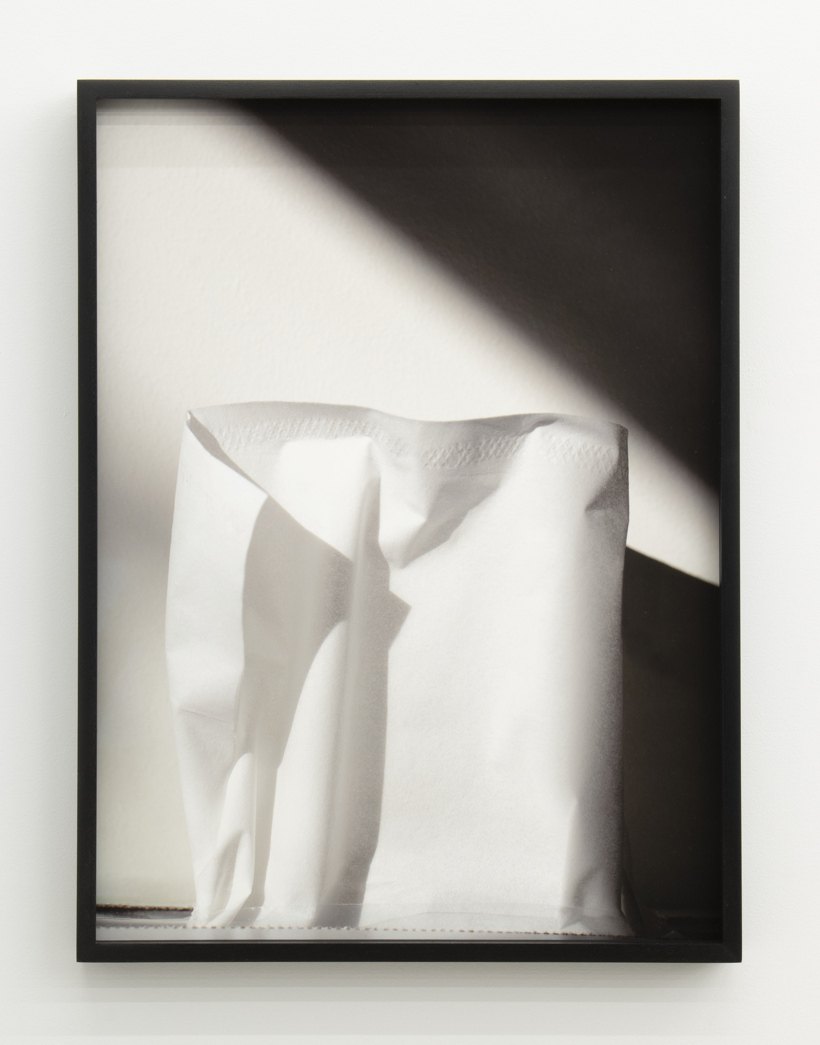 Jennifer Bolande, Persistence of Vision at Magenta Plains, photo 45