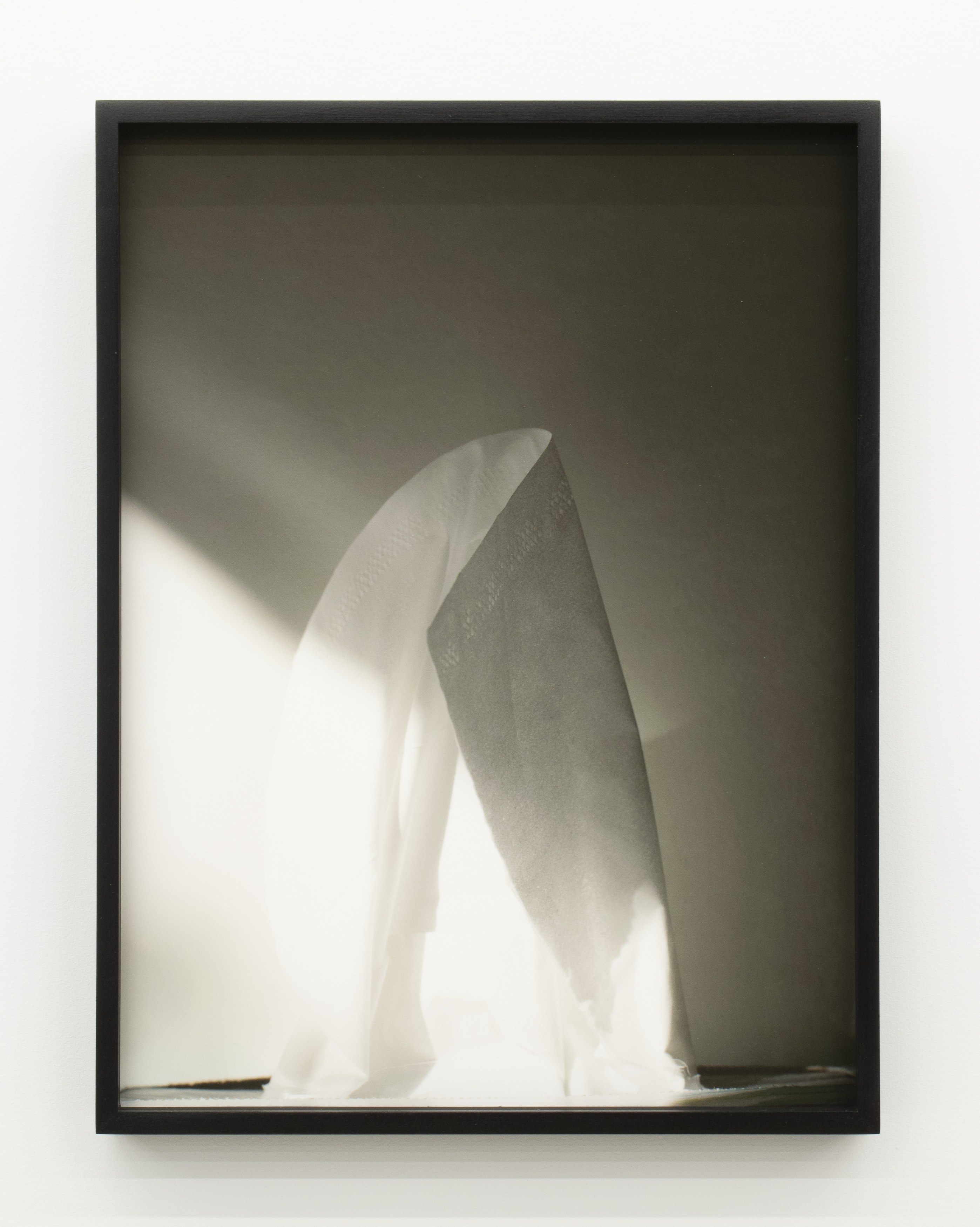 Jennifer Bolande, Persistence of Vision at Magenta Plains, photo 46