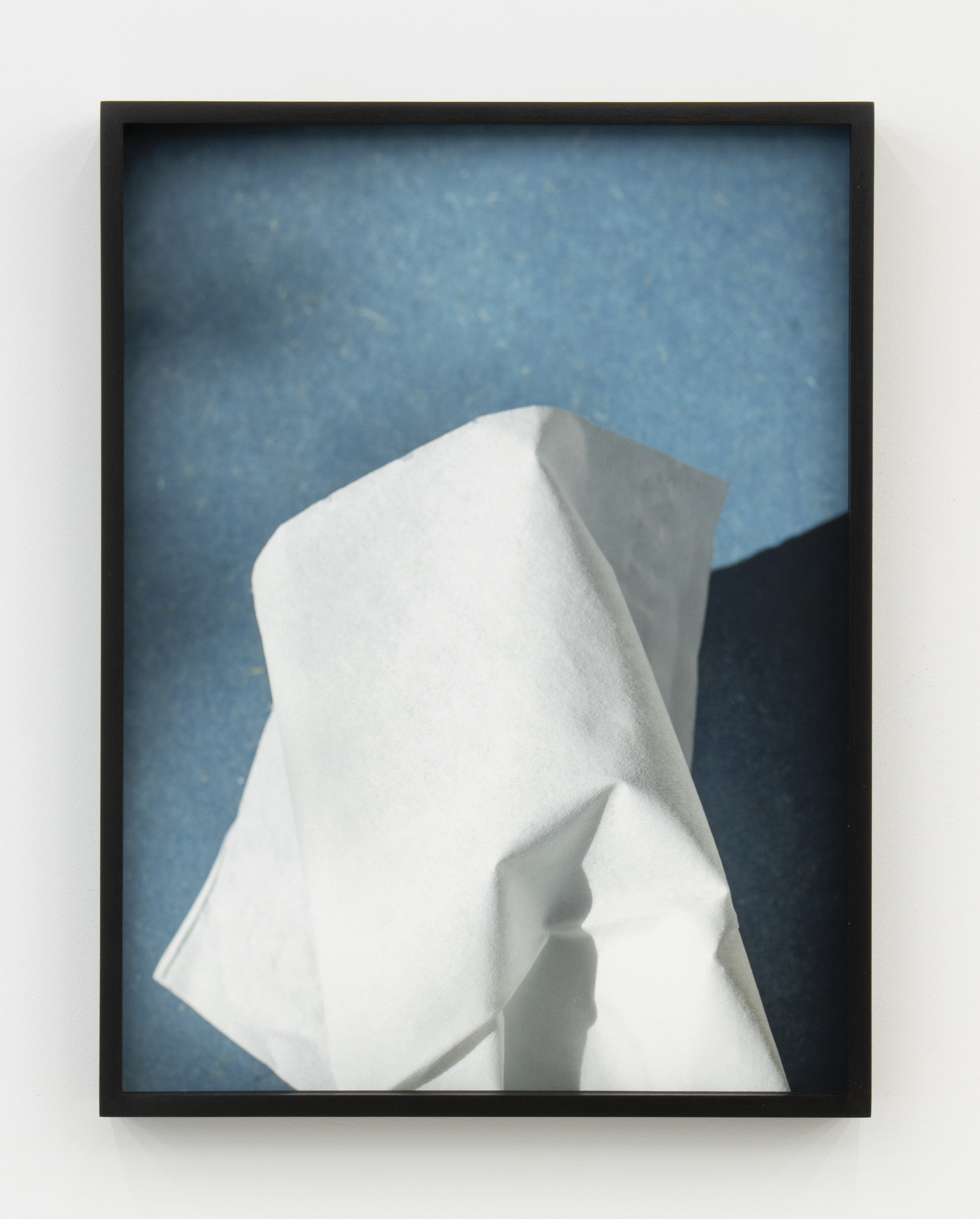 Jennifer Bolande, Persistence of Vision at Magenta Plains, photo 47