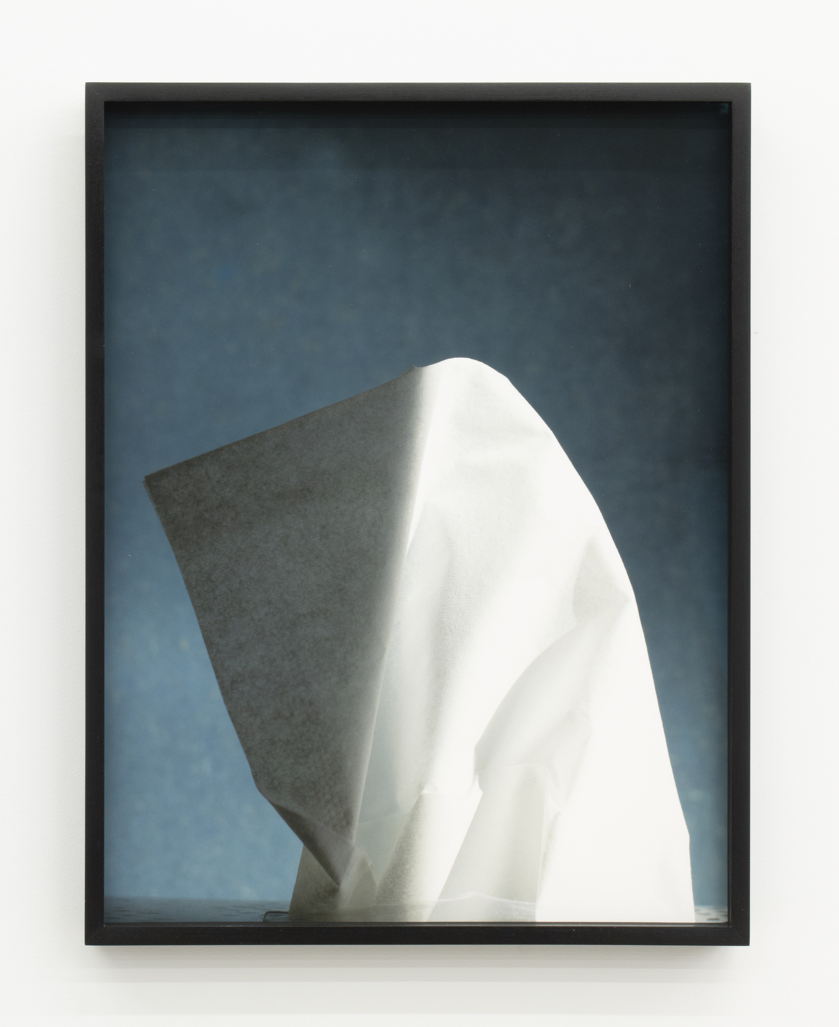 Jennifer Bolande, Persistence of Vision at Magenta Plains, photo 48