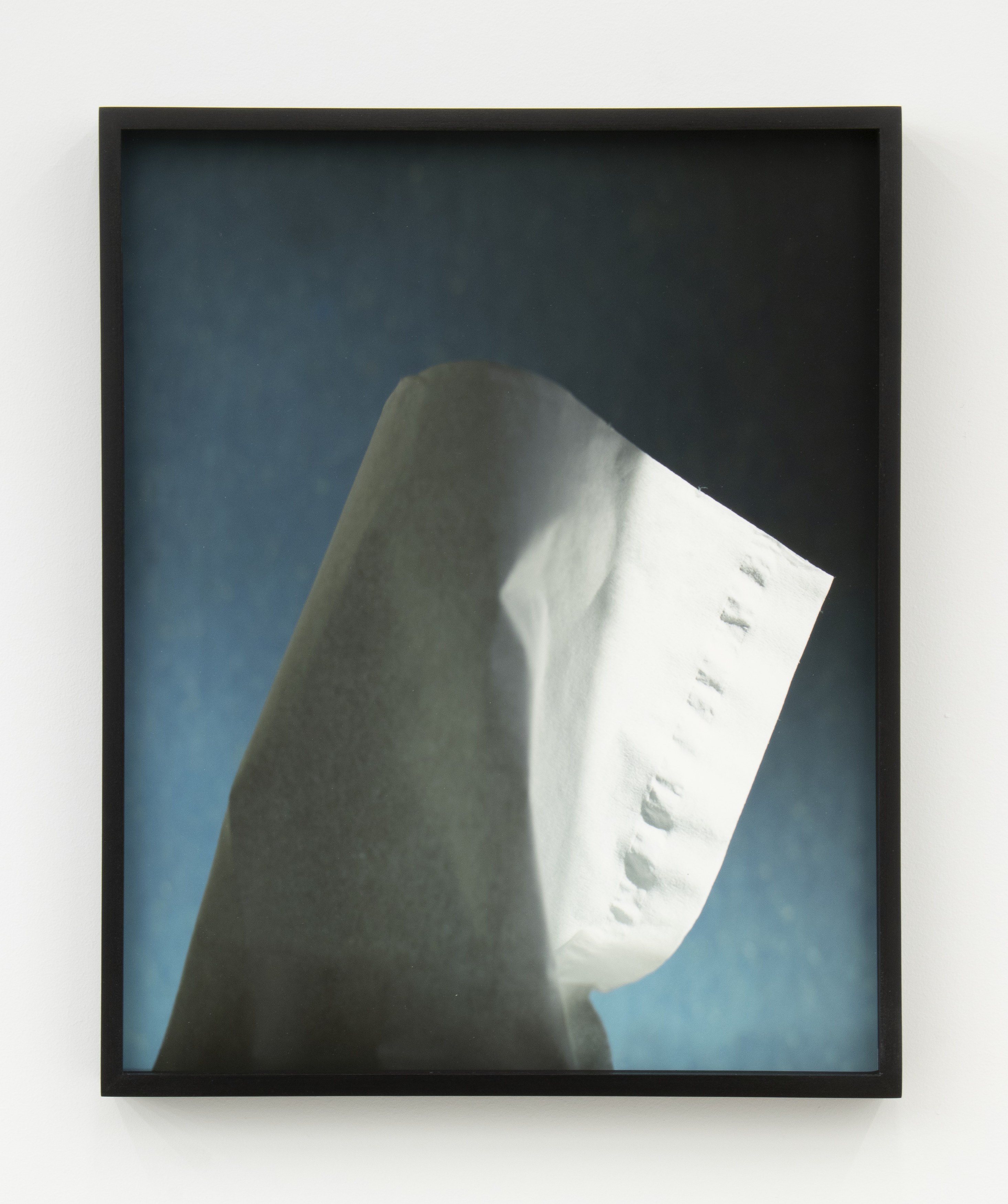 Jennifer Bolande, Persistence of Vision at Magenta Plains, photo 49