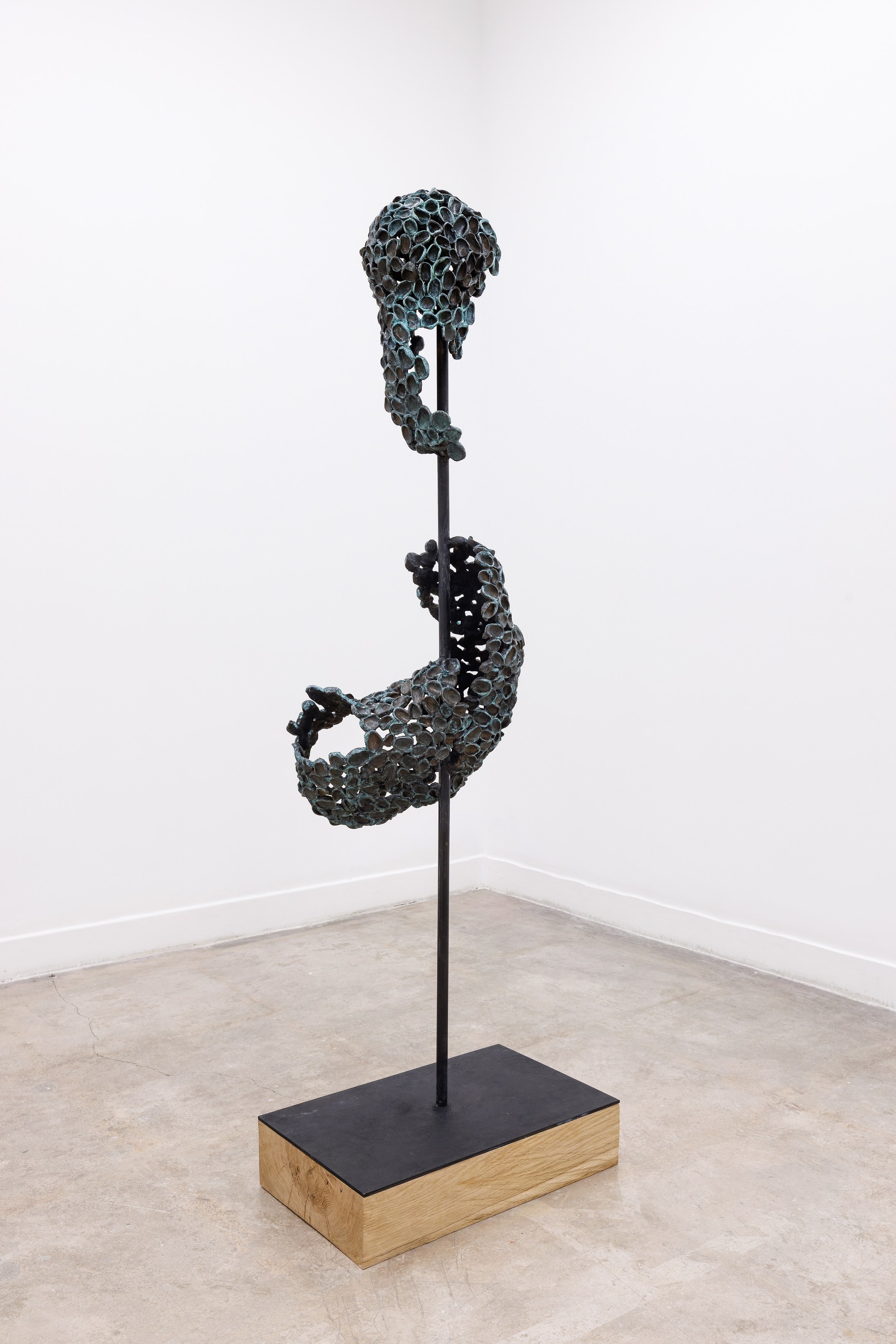 Adaptacja, Adaptacja at Marcelle Alix, photo 11