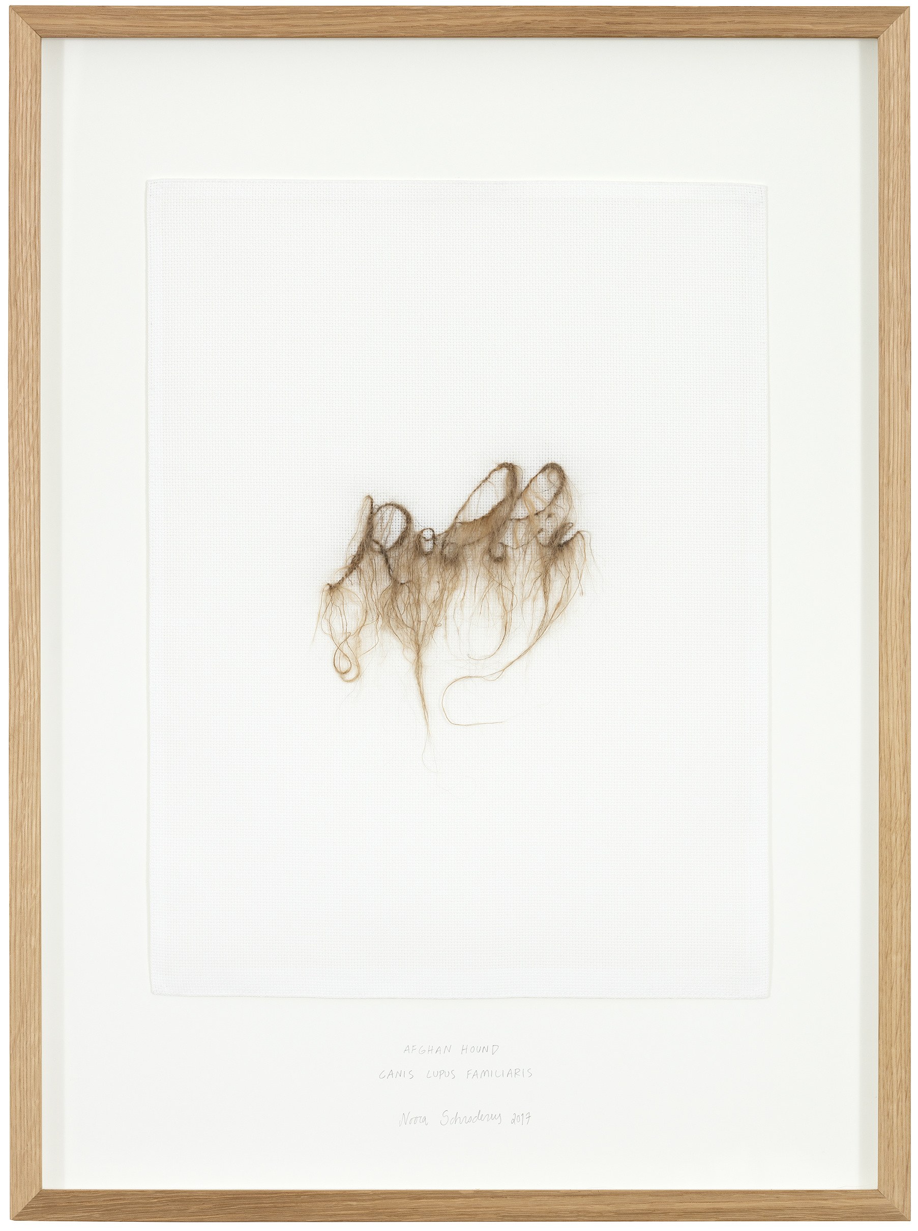 Cartographic Affinities, image 14 of 34