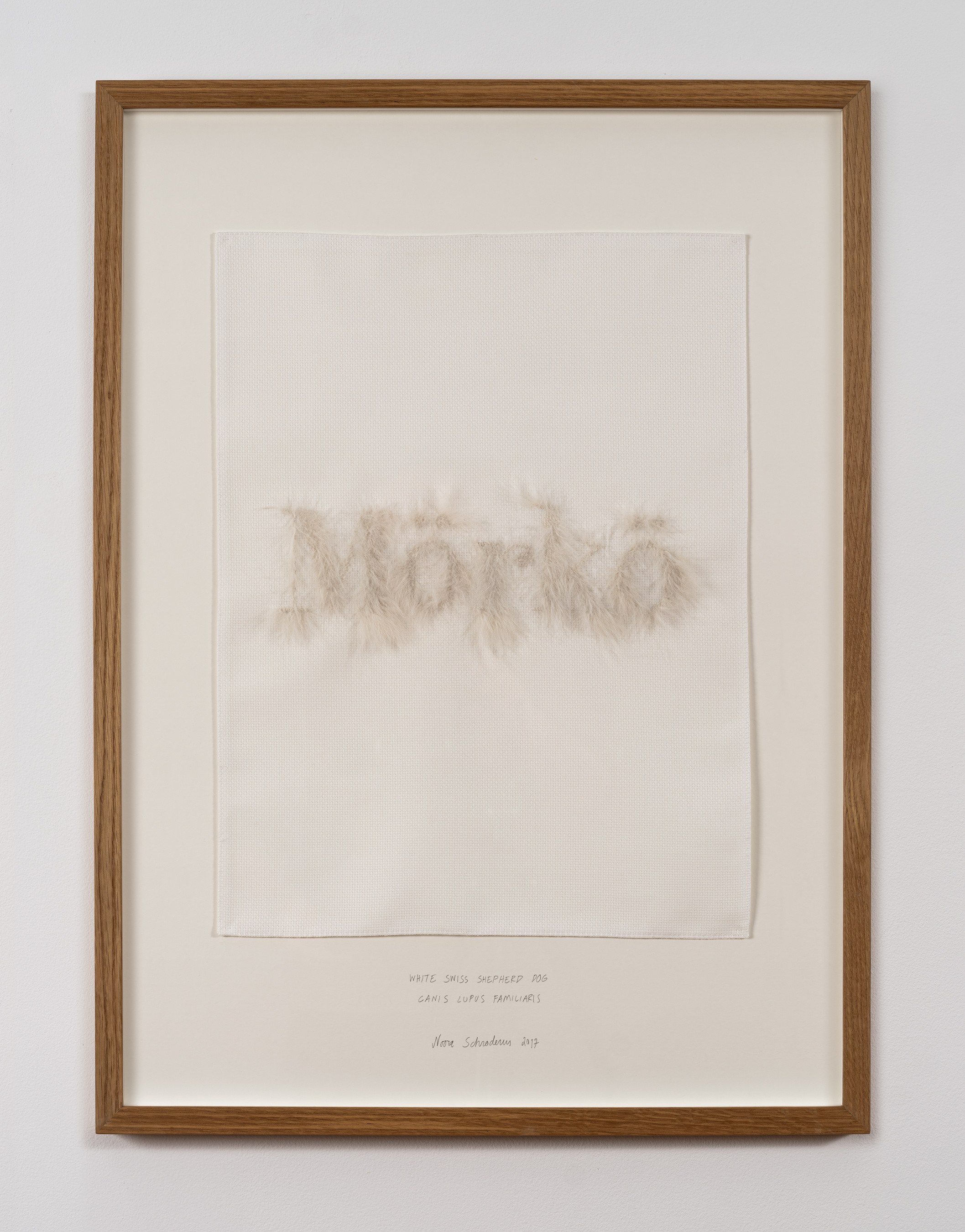 Cartographic Affinities, image 21 of 34