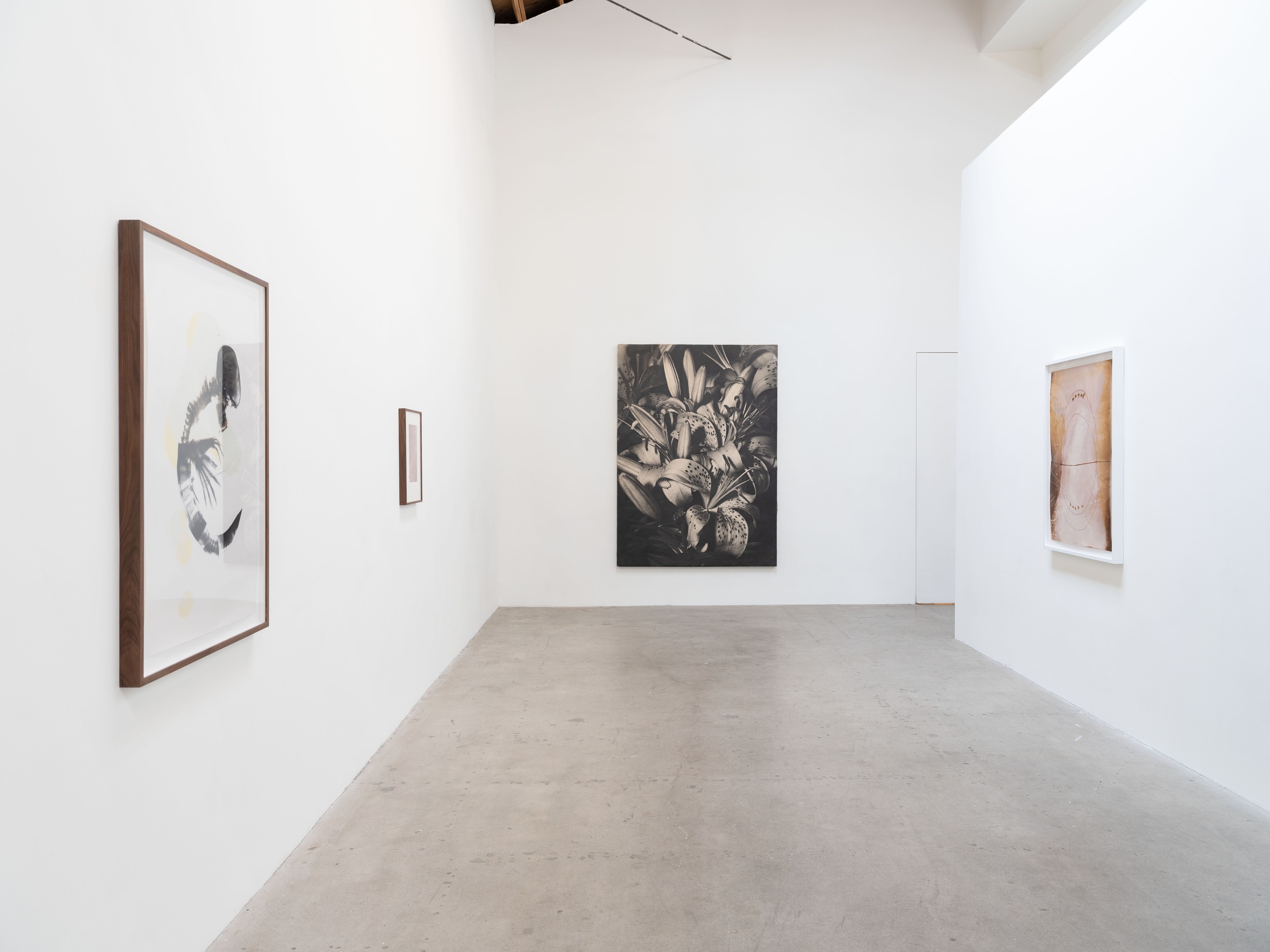 Kunié Sugiura, X-ray Island at Moskowitz Bayse, photo 4