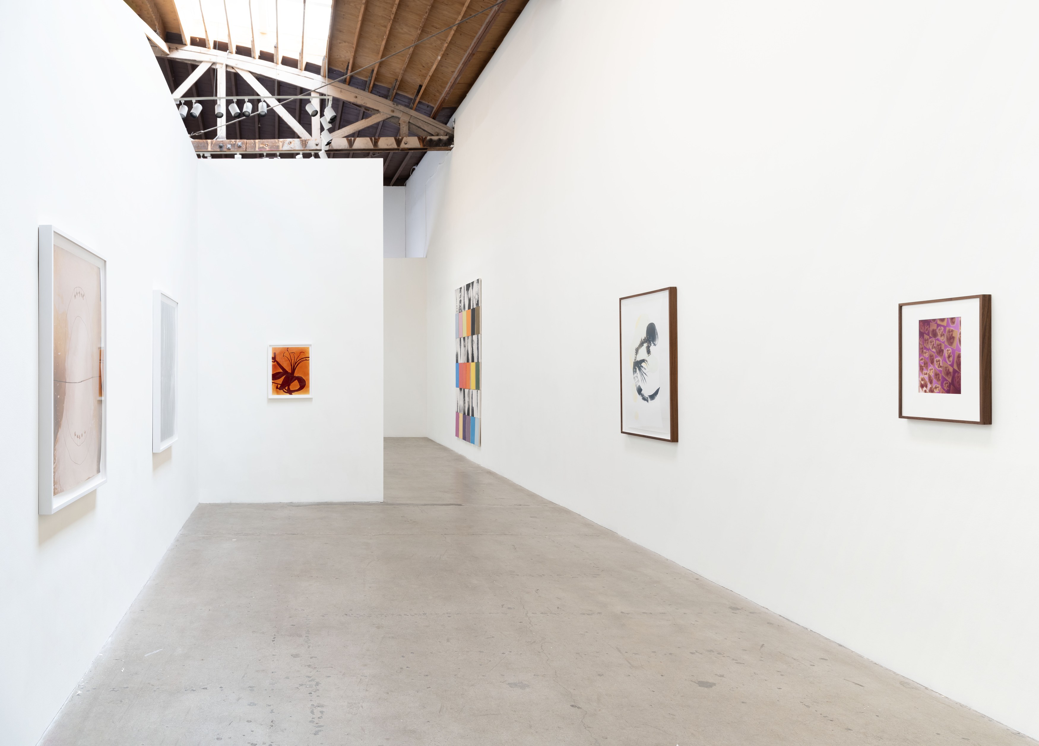 Kunié Sugiura, X-ray Island at Moskowitz Bayse, photo 6