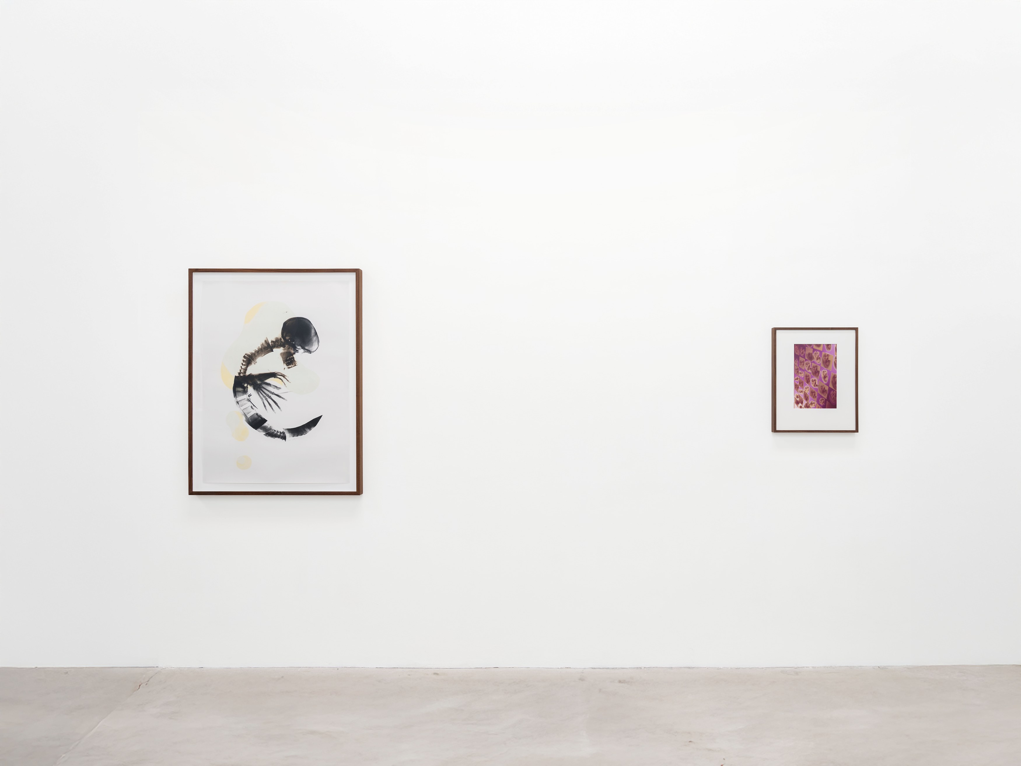 Kunié Sugiura, X-ray Island at Moskowitz Bayse, photo 7