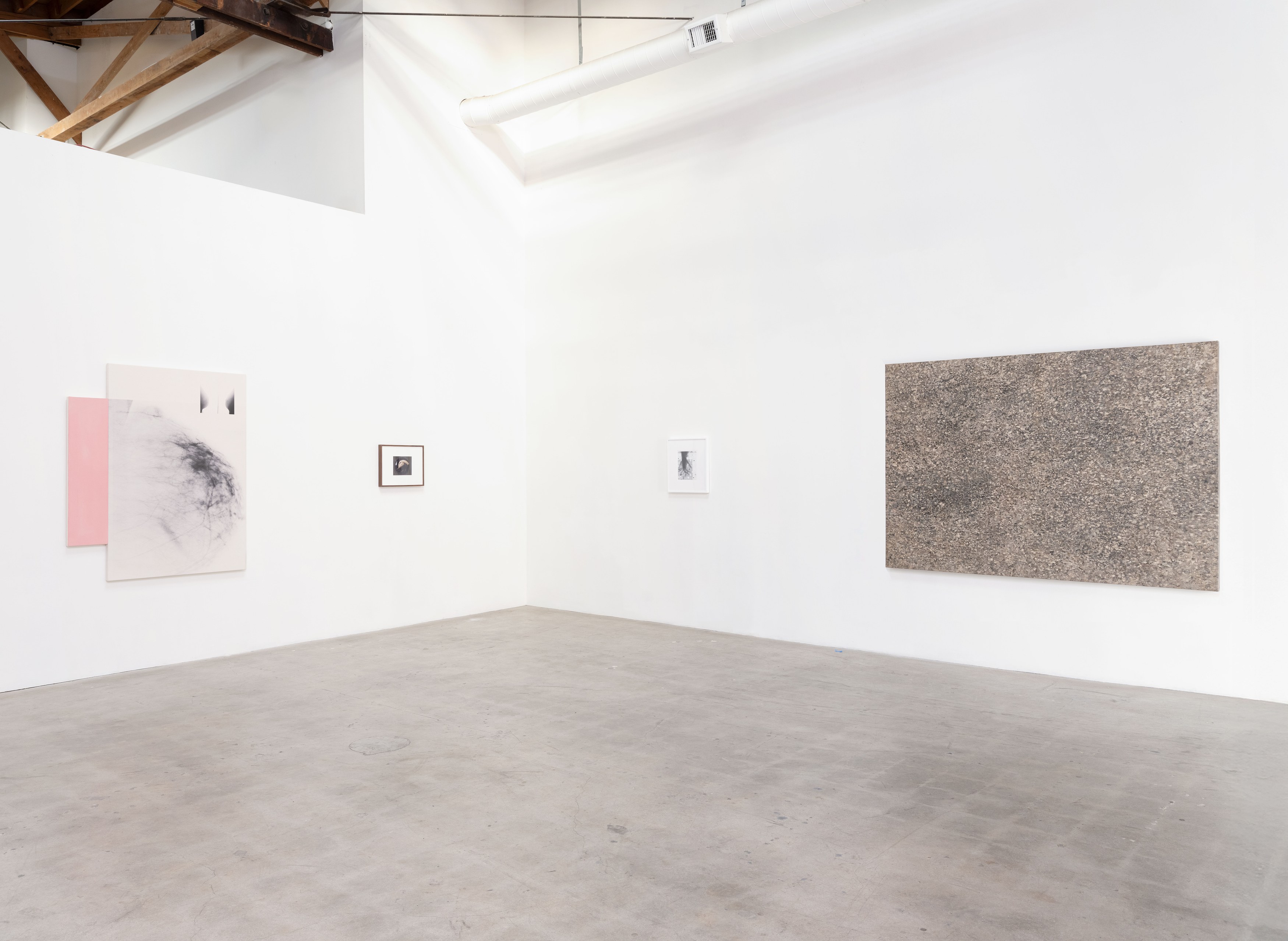 Kunié Sugiura, X-ray Island at Moskowitz Bayse, photo 9