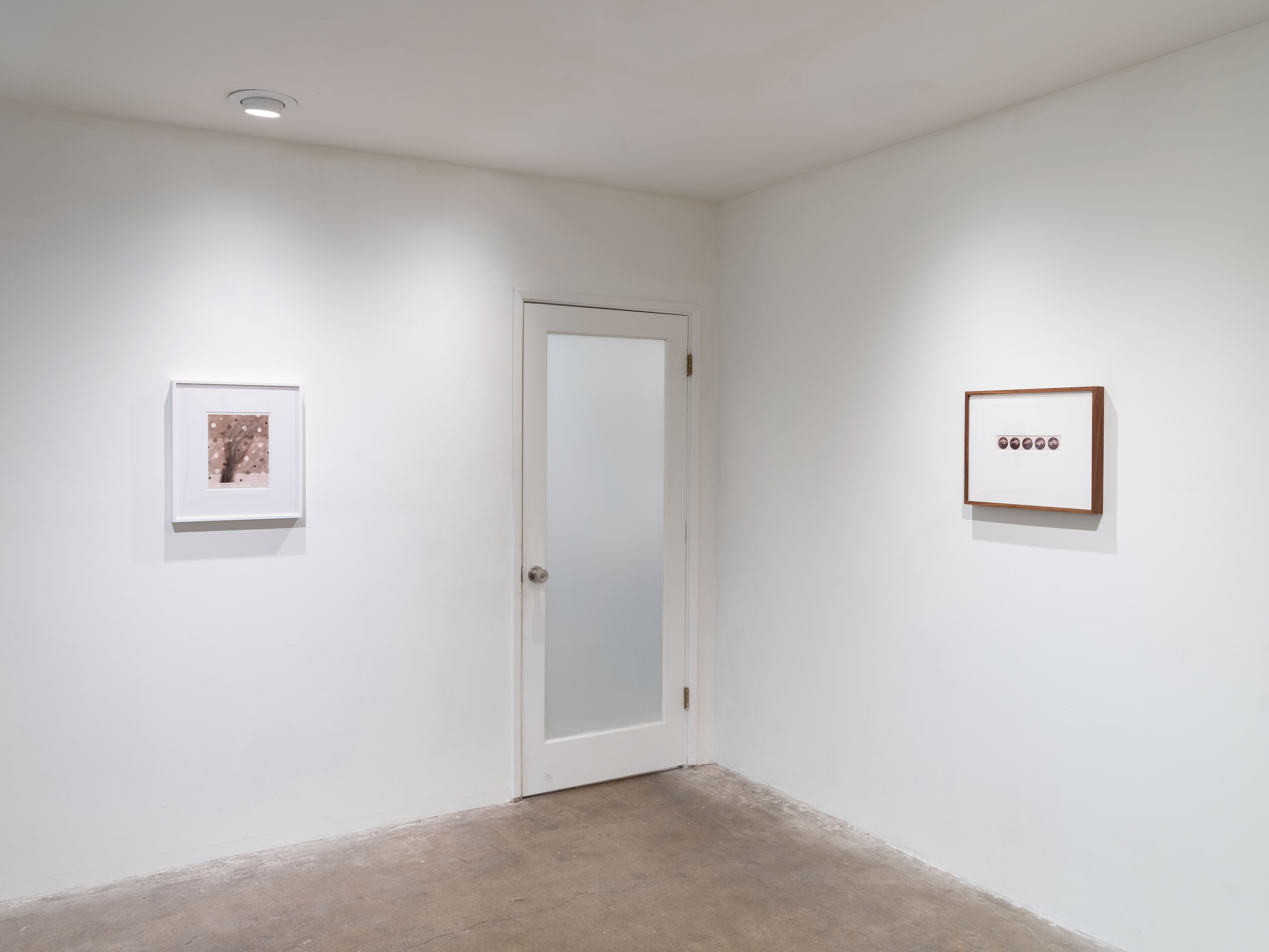 Kunié Sugiura, X-ray Island at Moskowitz Bayse, photo 10