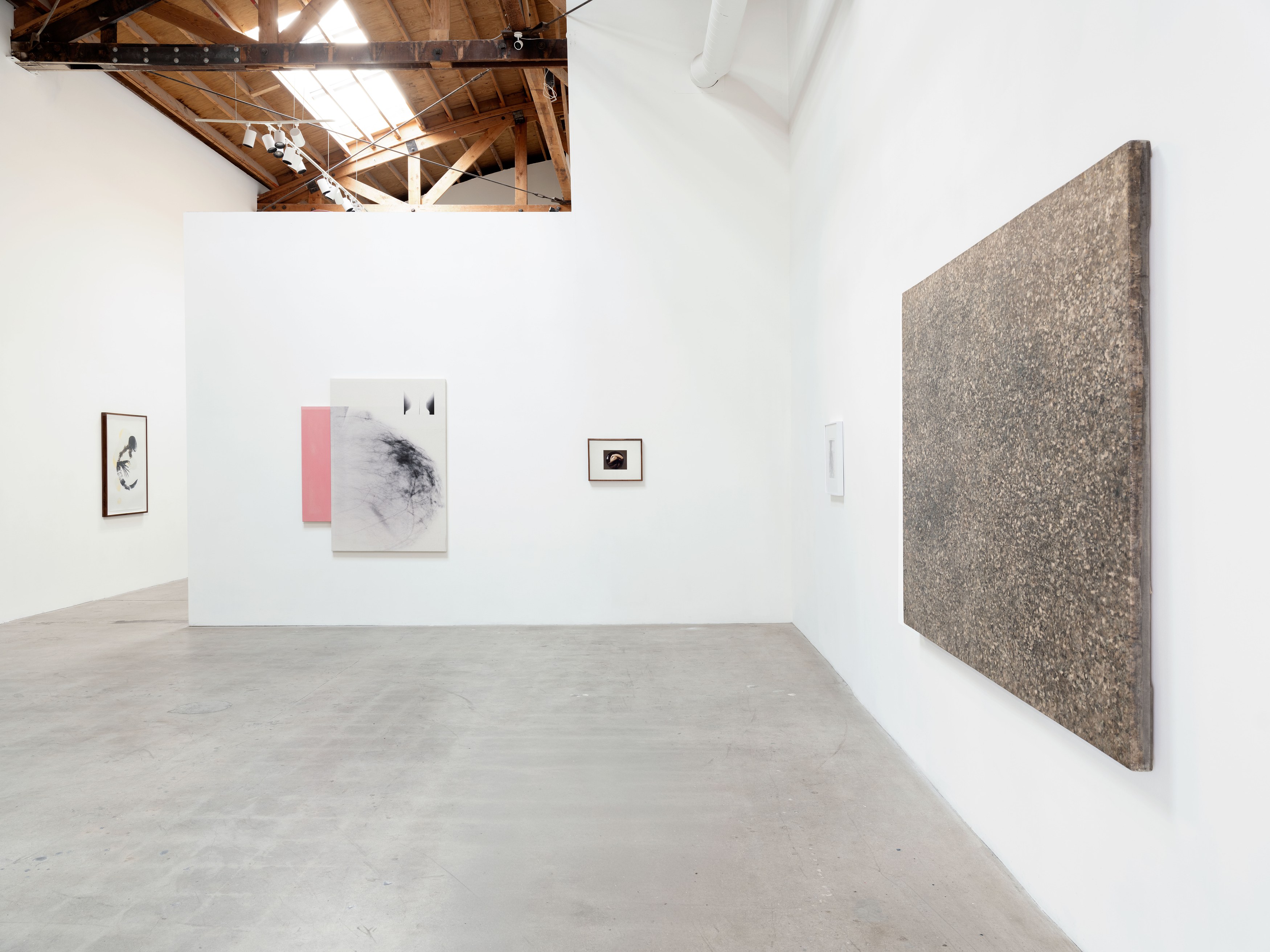 Kunié Sugiura, X-ray Island at Moskowitz Bayse, photo 8