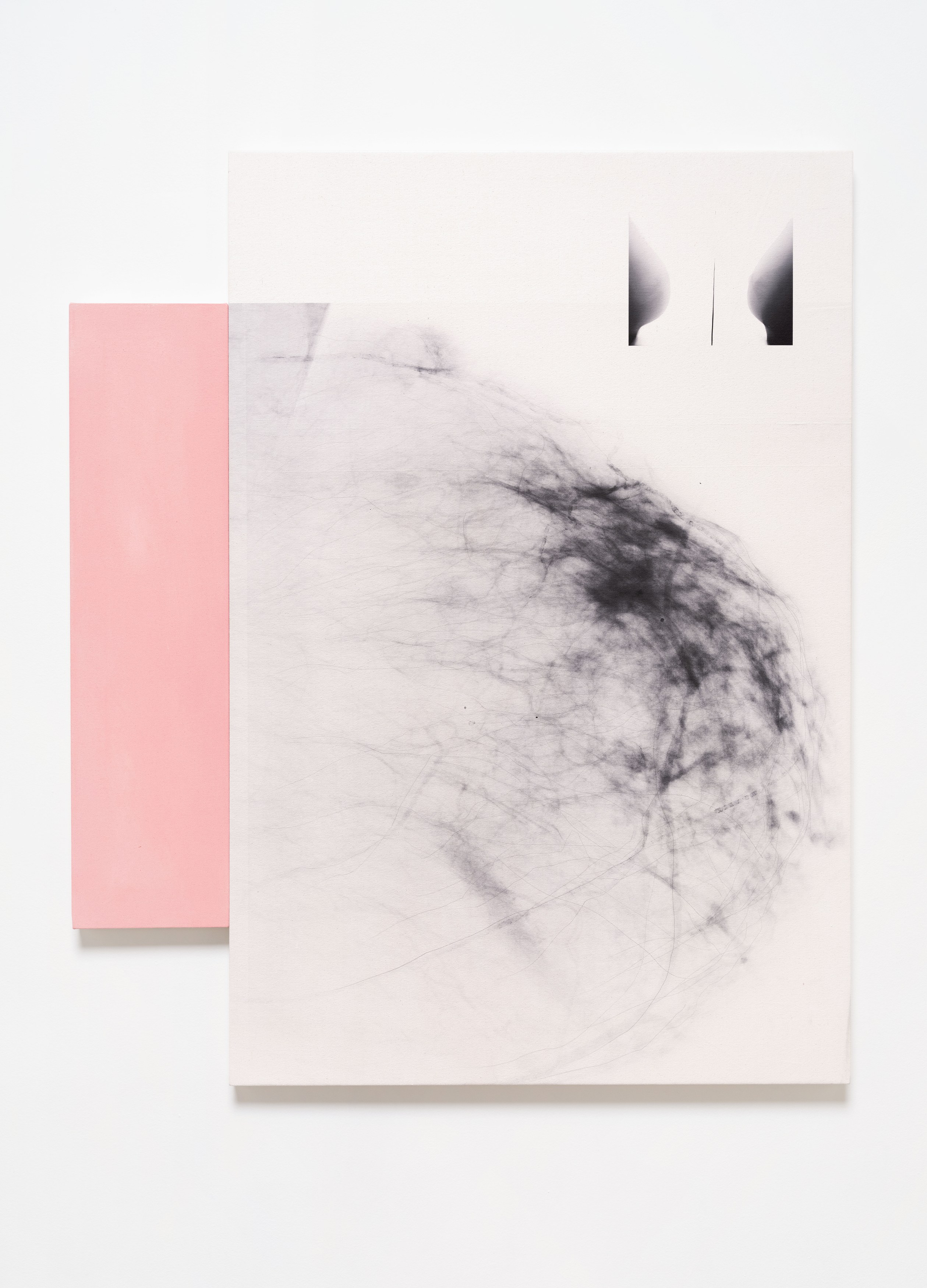 Kunié Sugiura, X-ray Island at Moskowitz Bayse, photo 14
