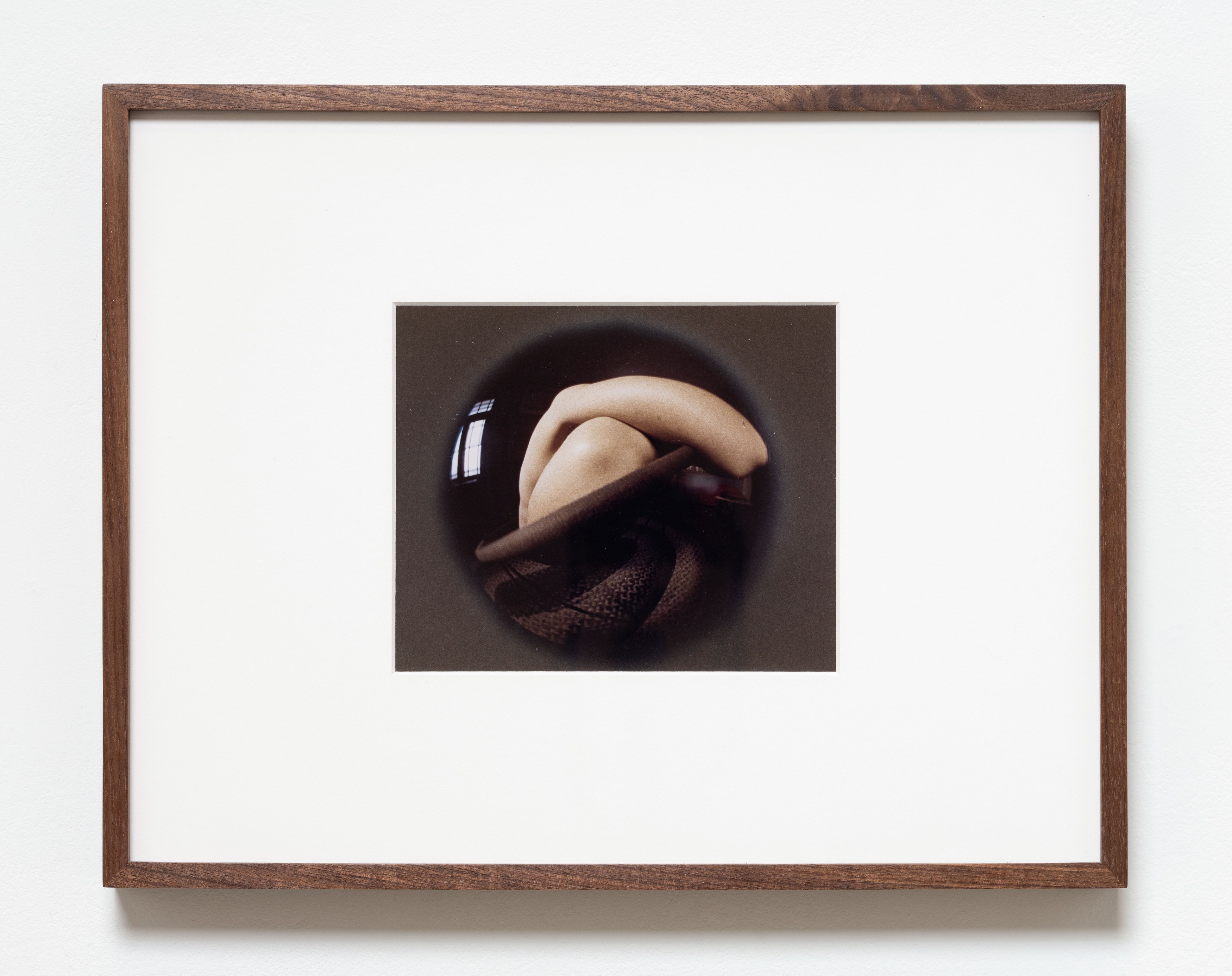 Kunié Sugiura, X-ray Island at Moskowitz Bayse, photo 16