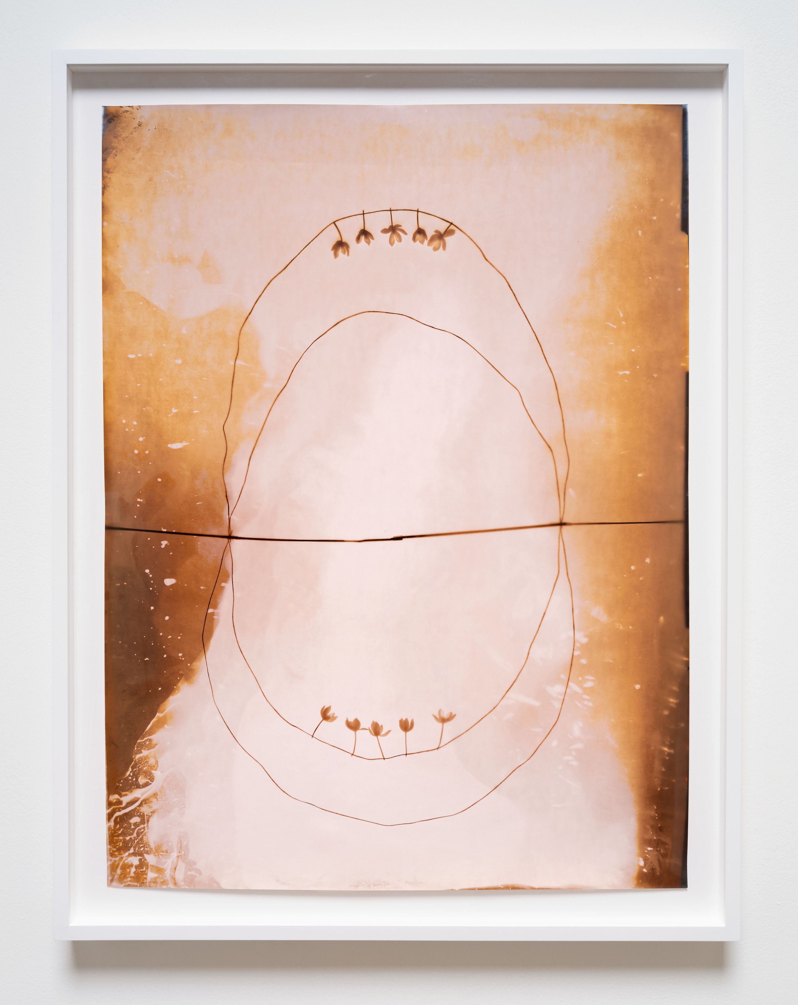Kunié Sugiura, X-ray Island at Moskowitz Bayse, photo 19