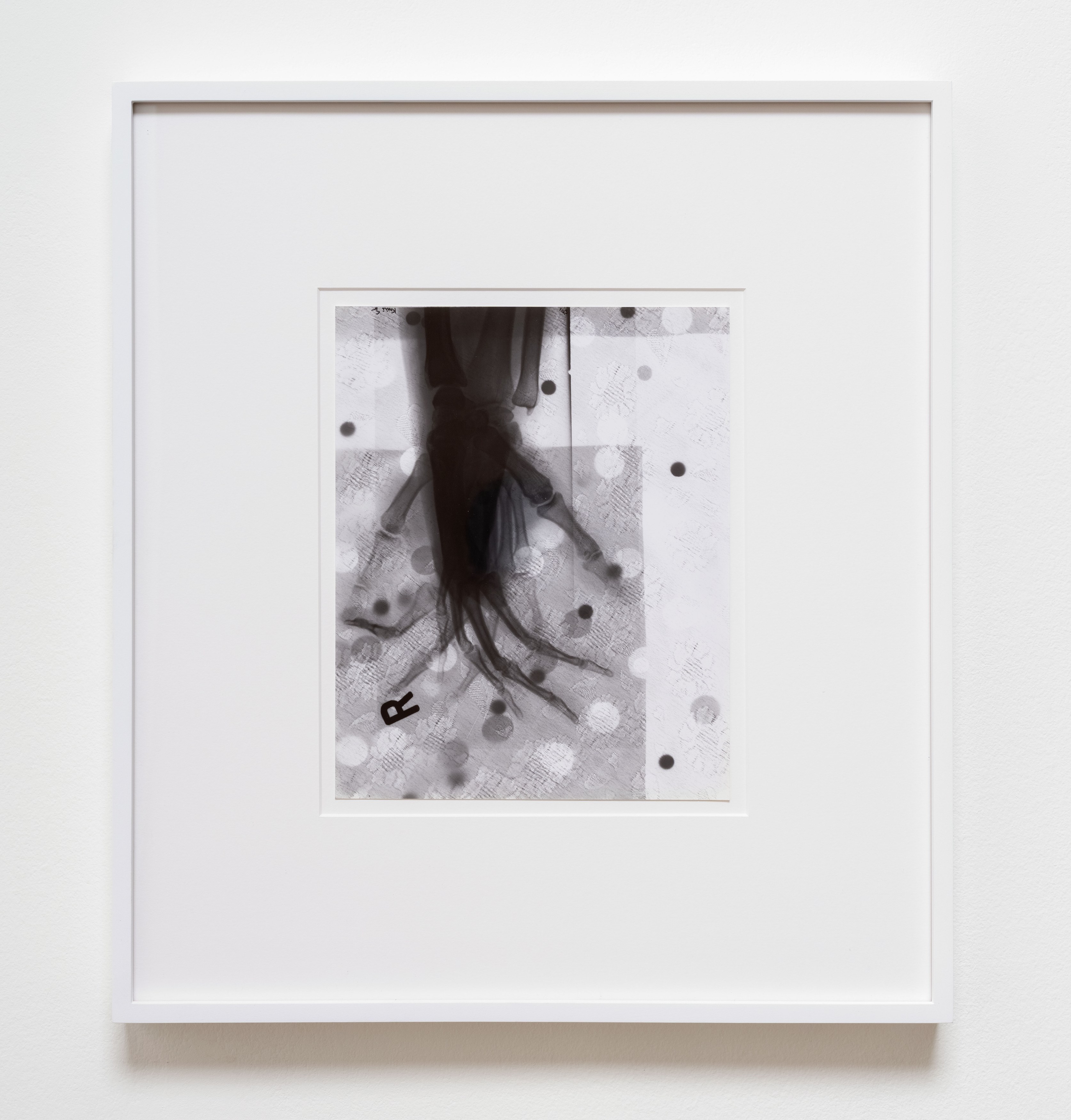 Kunié Sugiura, X-ray Island at Moskowitz Bayse, photo 27